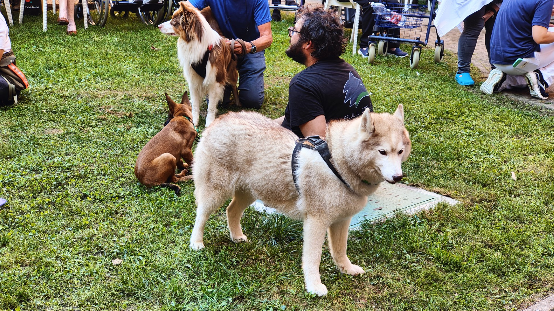 Amici a 4 zampe sfilano nella casa di riposo: "Migliorano il benessere degli ospiti"