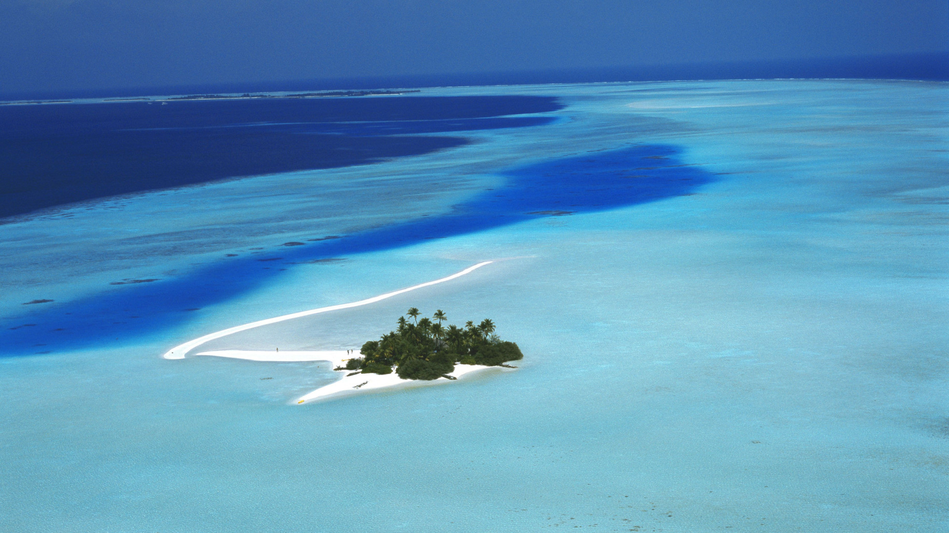 Crociera da 25mila euro, ma le cabine sono piene di scarafaggi