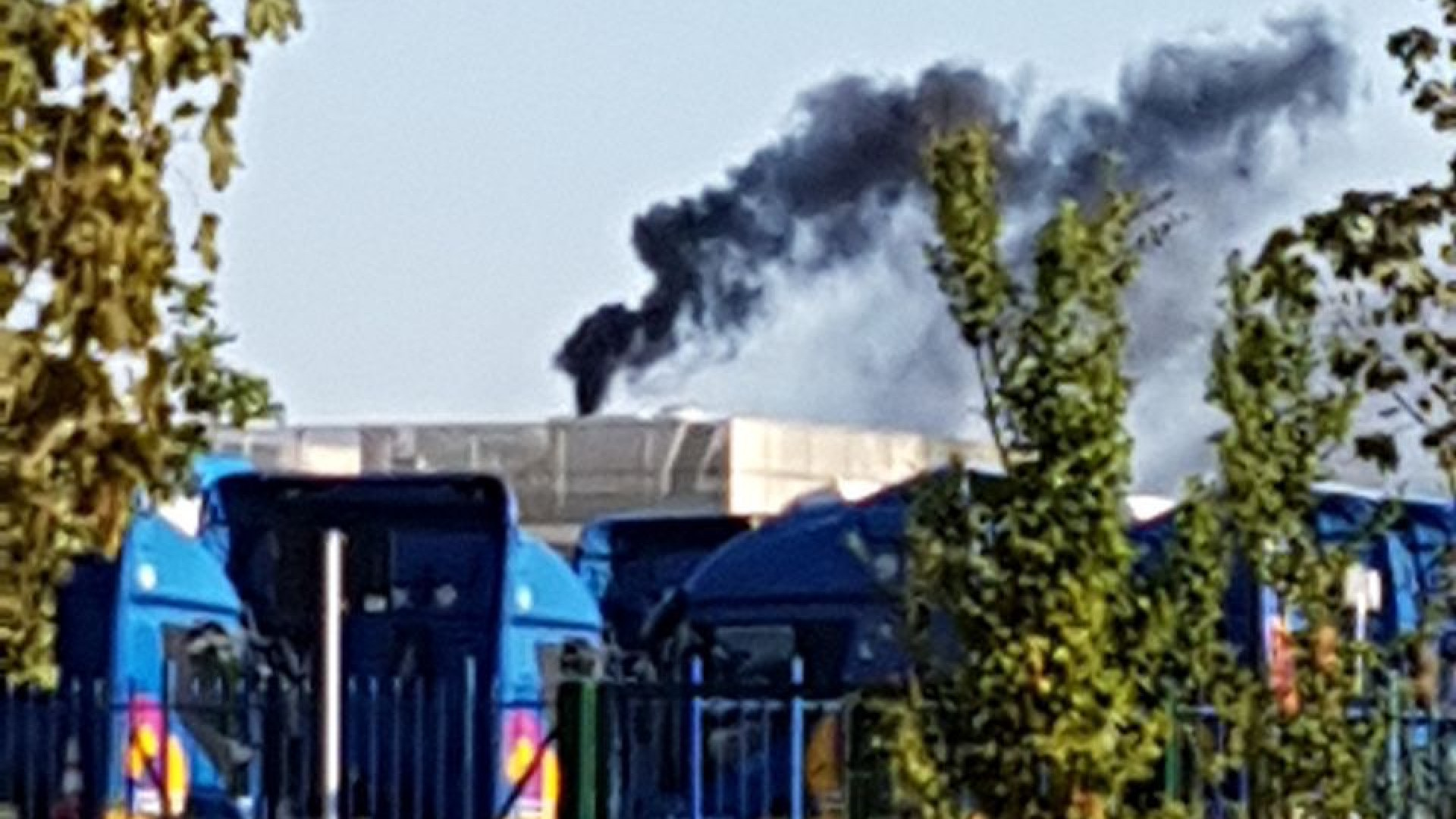 Fumo nero dal forno crematorio. Il gestore: "Guasto tecnico"