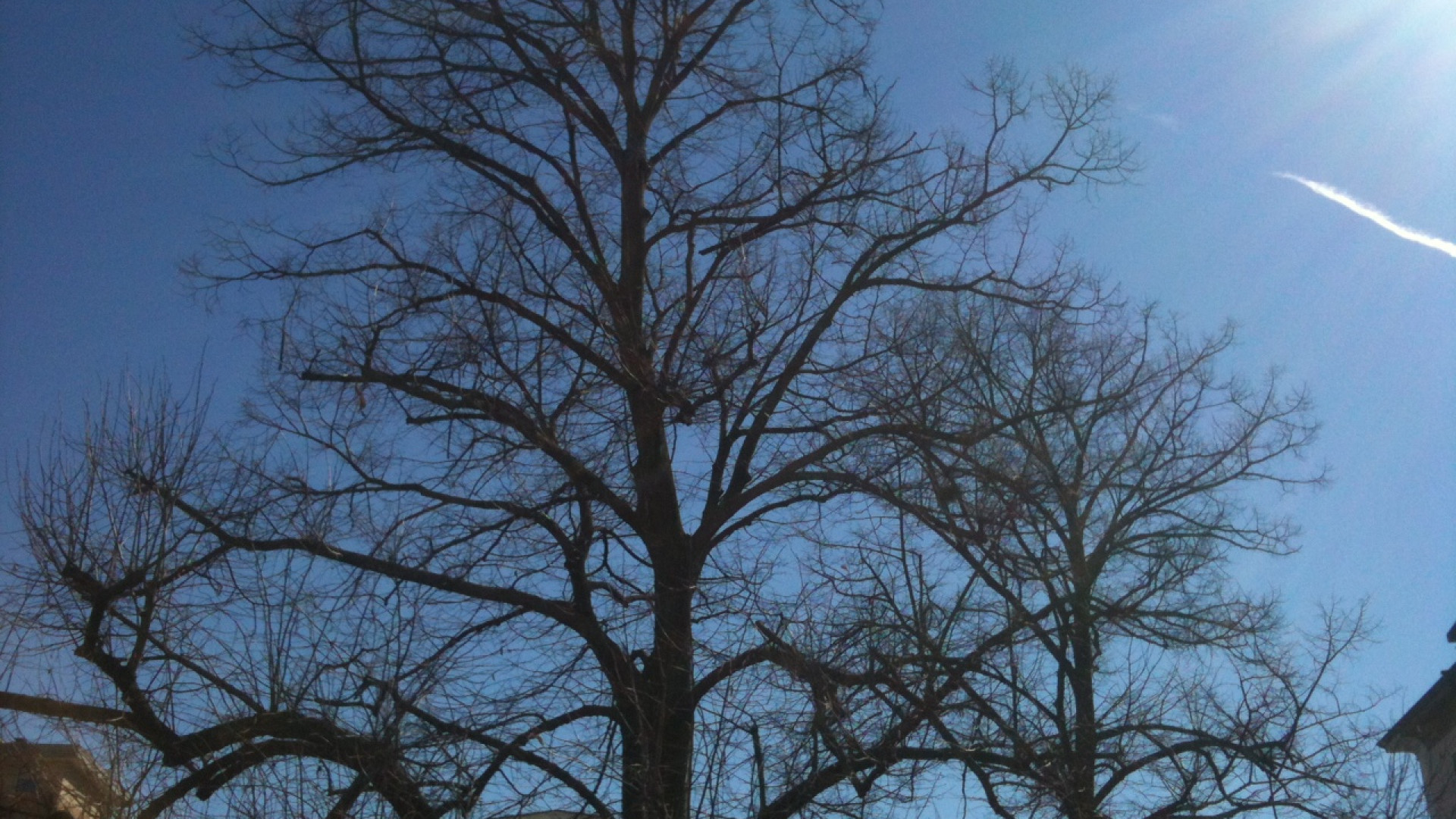 La primavera inizia all’insegna del bel tempo, ma domenica torna la neve
