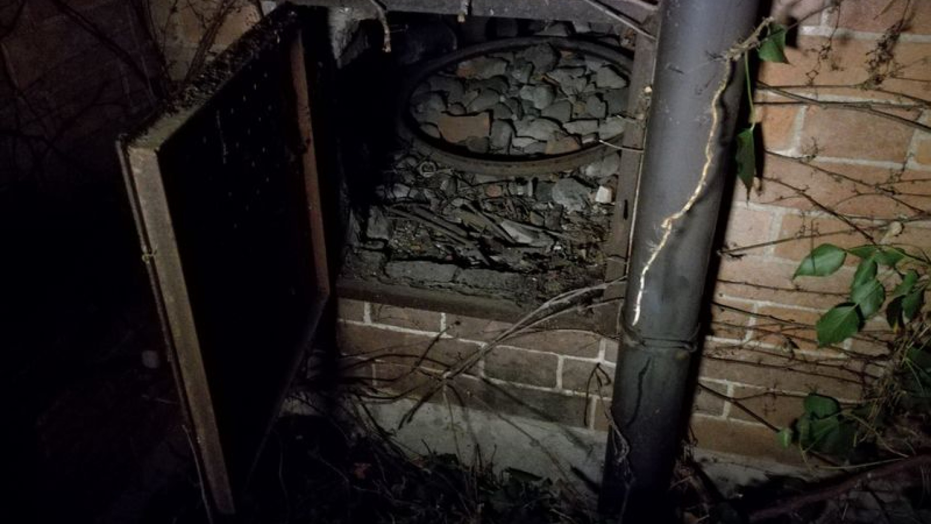 Risarcimento Klimt, ditta prende le distanze dalla richiesta dei giardinieri