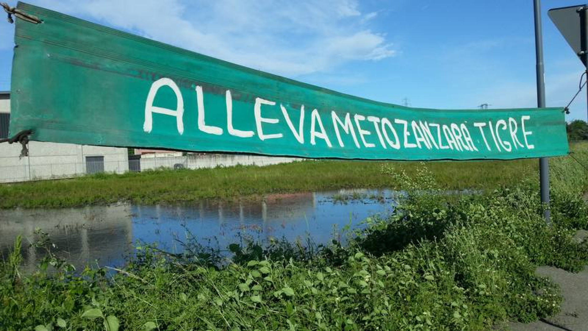 Zanzare e virus West Nile, l'80% dei focolai su aree private