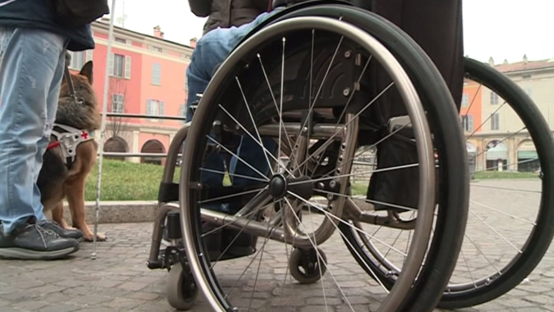 "Disabili dimenticati dal reddito di cittadinanza": la segnalazione di Anmic