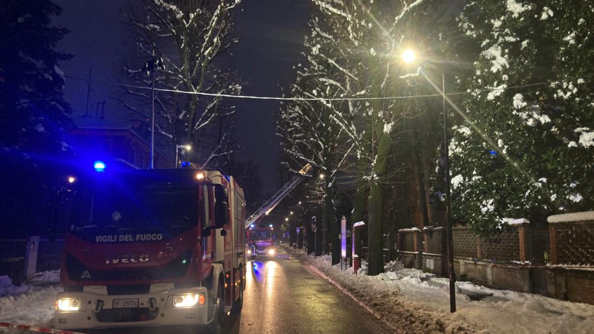 Alberi pericolanti in via Beverora, intervengono i vigili del fuoco