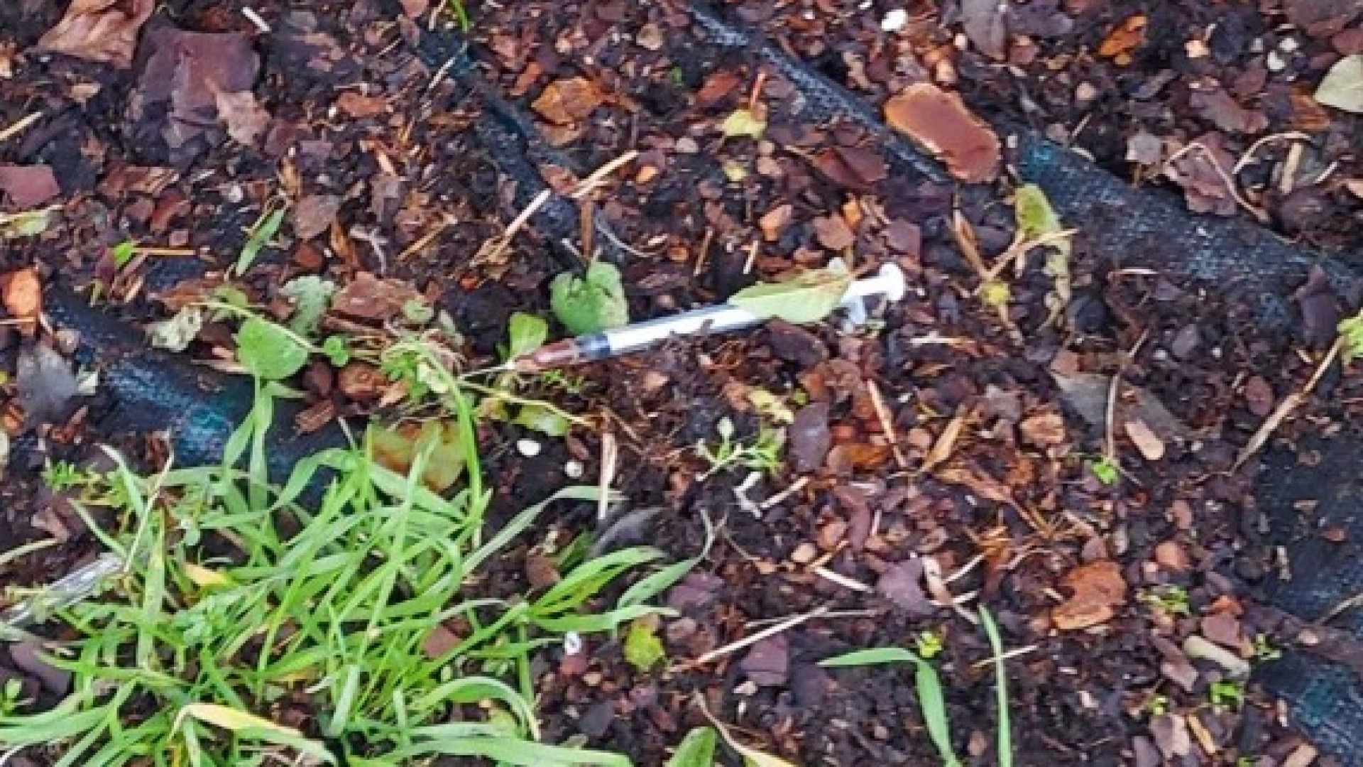 "Lattine, cartacce e addirittura siringhe usate in via Cornegliana"