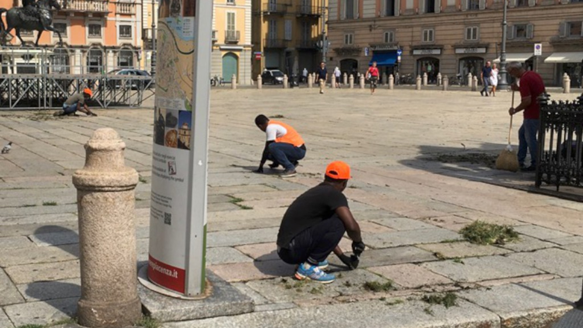 Rimozione delle erbacce in piazza Cavalli, all’opera i richiedenti asilo volontari