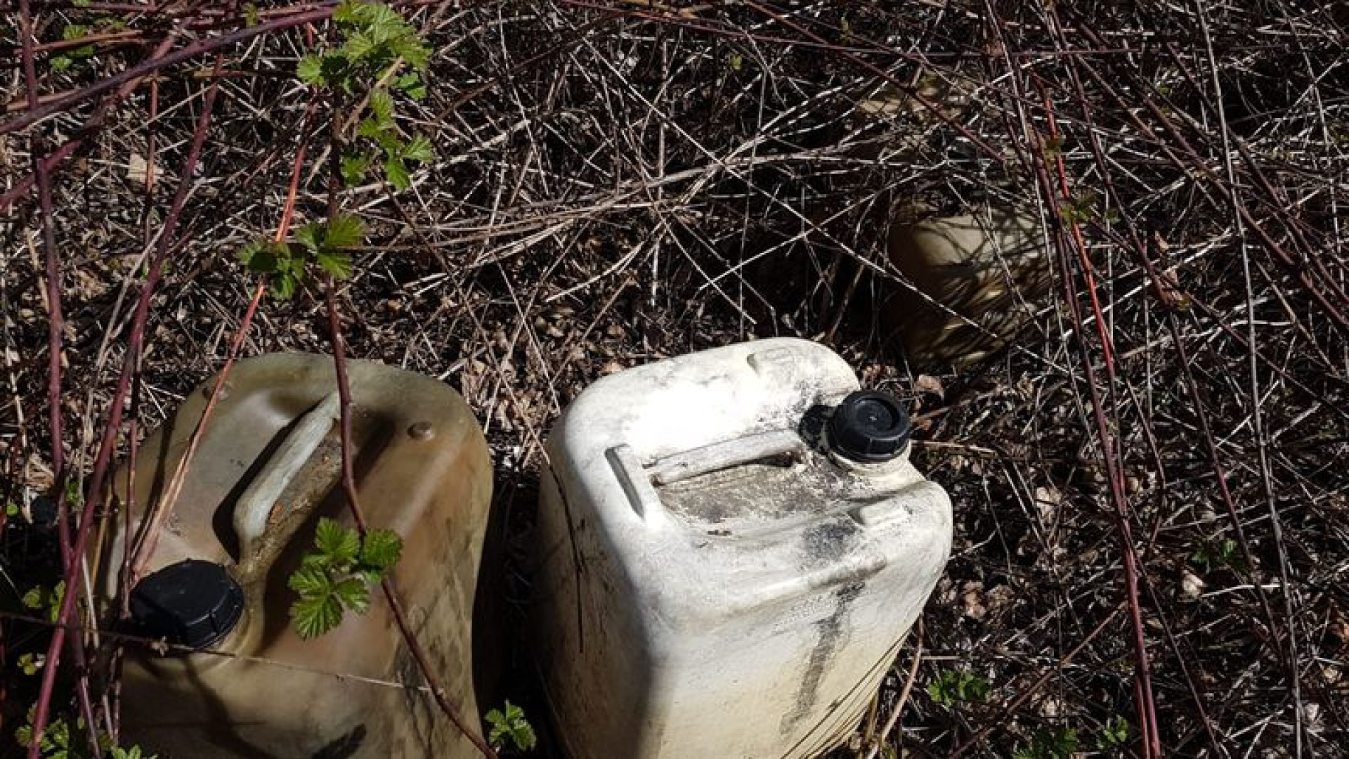 Discarica abusiva accanto all'autostrada: tra i rifiuti anche un forno