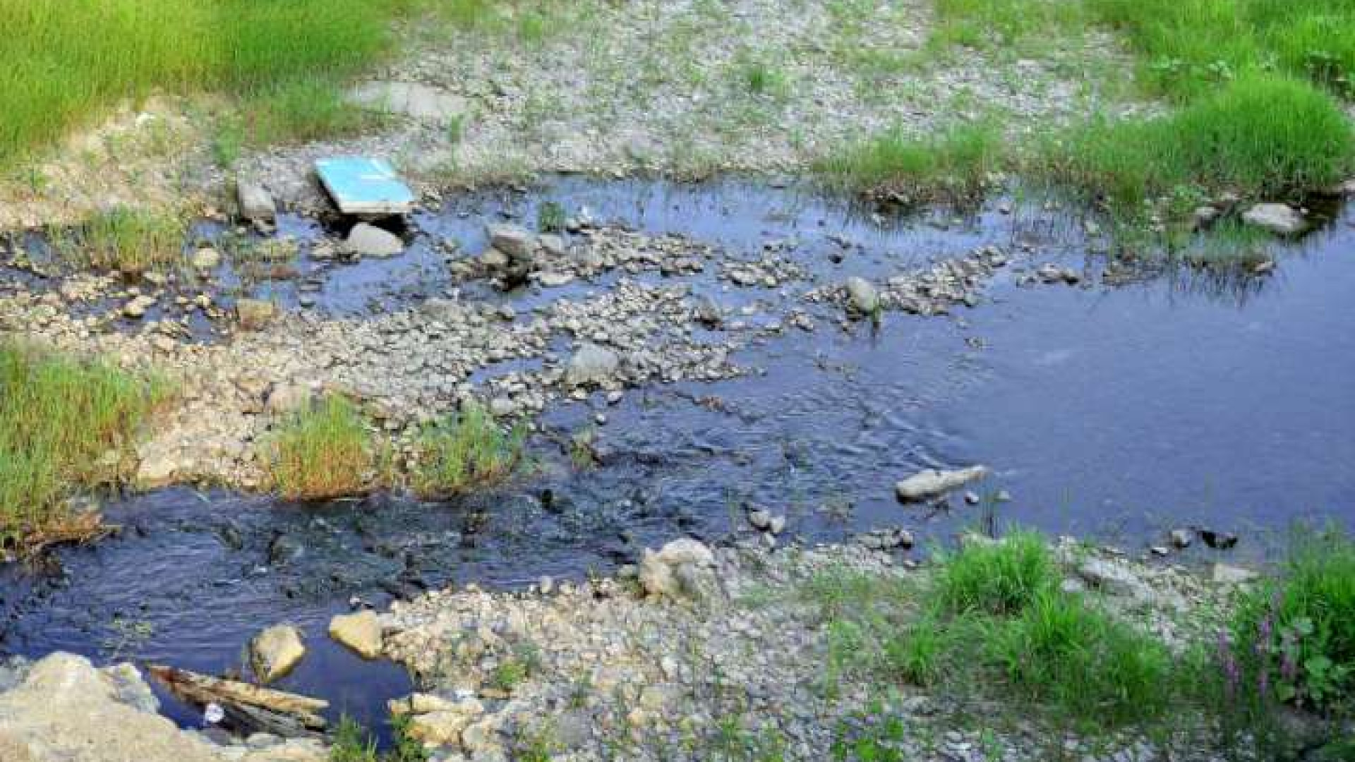 Sversamento di olio nel Nure, Arpa sul posto per controlli