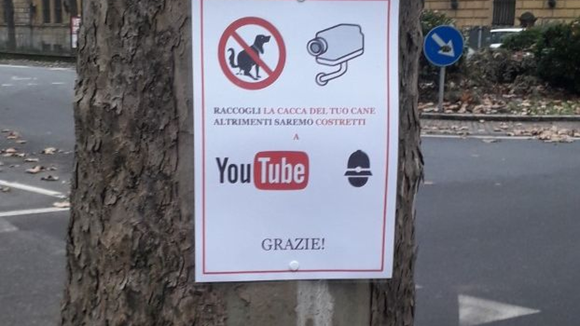 Lotta alle deiezioni canine, anche in via Beverora messaggio contro l'inciviltà