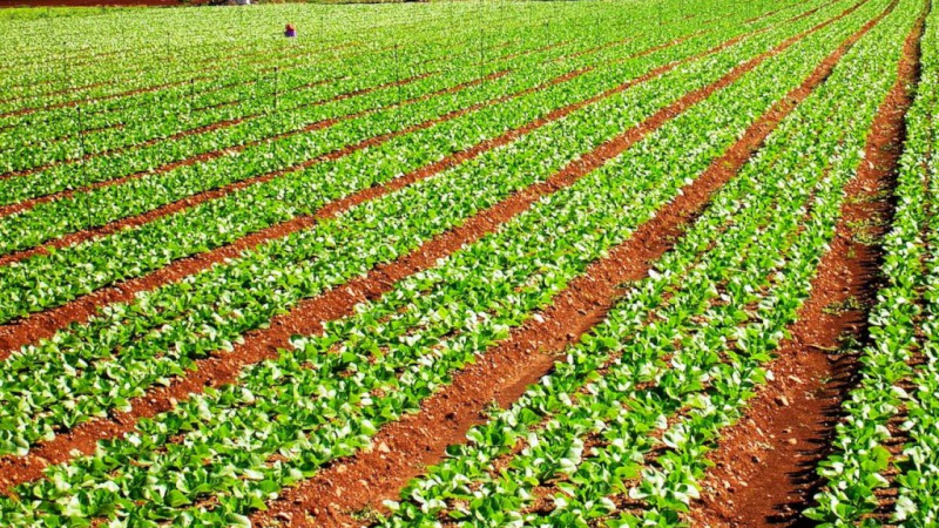 Nuove imprese giovanili, record regionale per Piacenza con 158