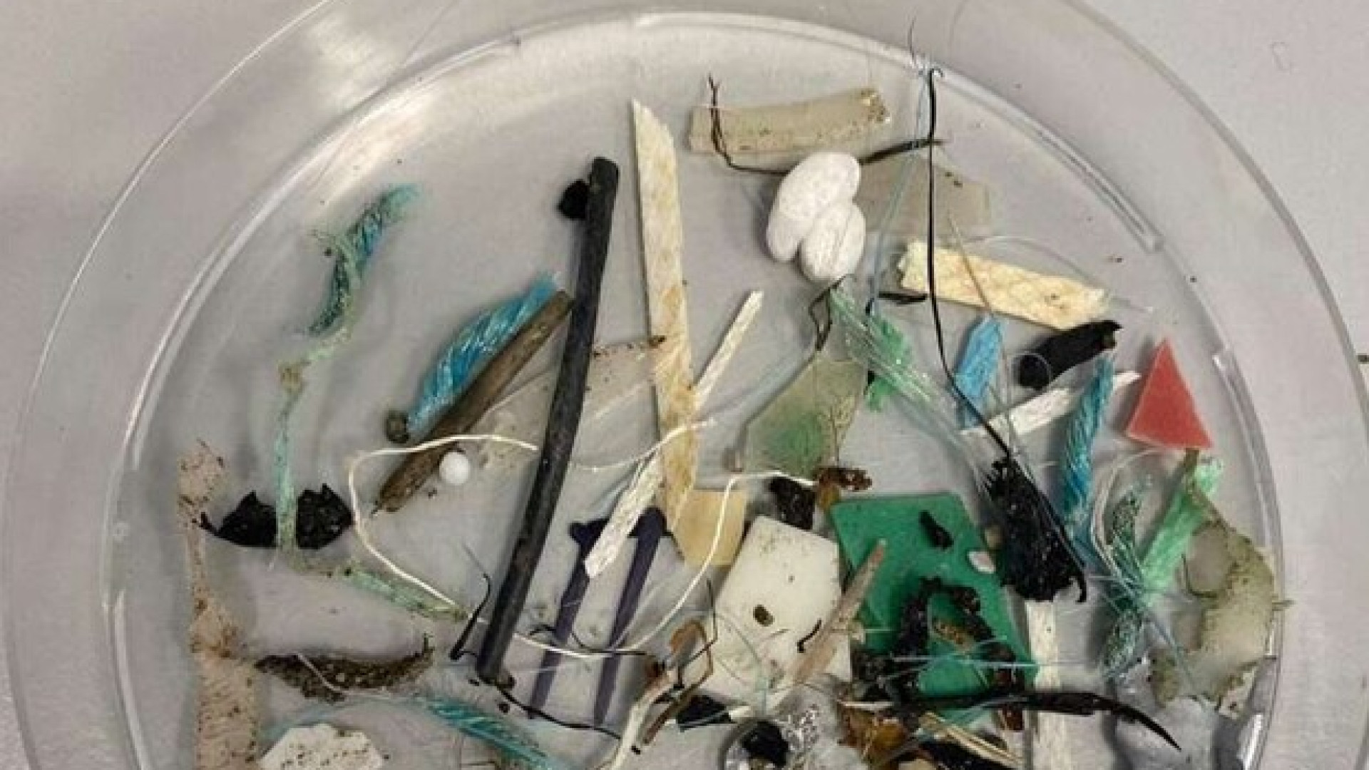 Ecco la mappa dei rifiuti trovati nell'Artico, arrivano persino dal Brasile