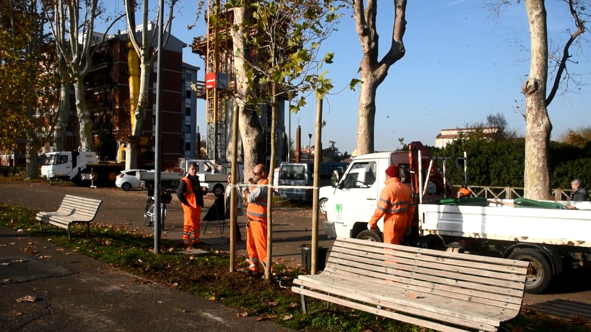 Giornata nazionale degli alberi, sul Facsal arrivano sette nuovi platani