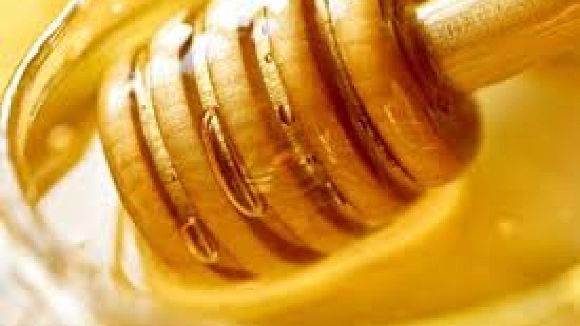 Miele, produzione dimezzata nel Piacentino. Boom di importazioni