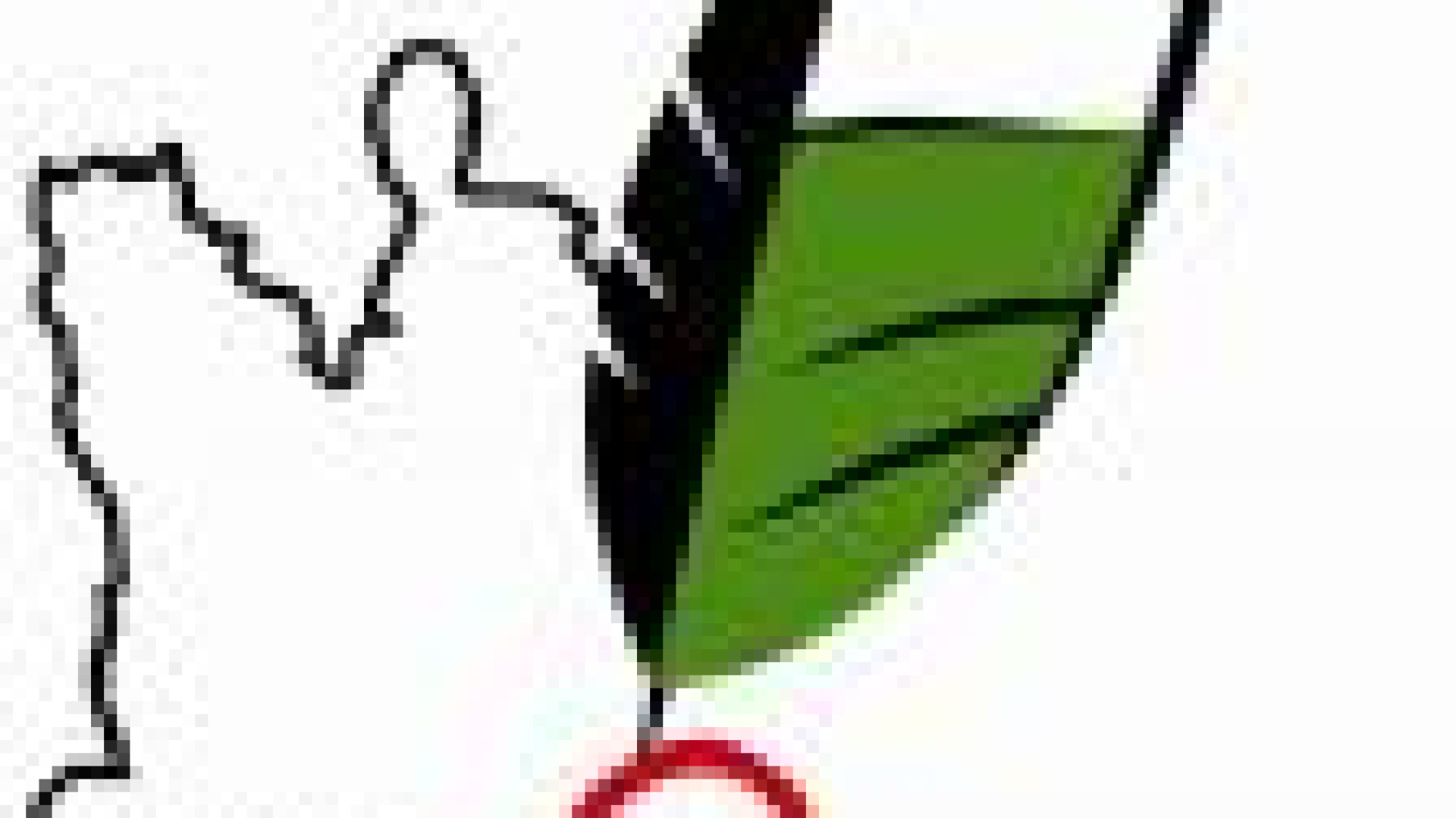 Adunata alpini: 118 sezioni pronte alla sfilata del 12 maggio. Ecco l'ordine