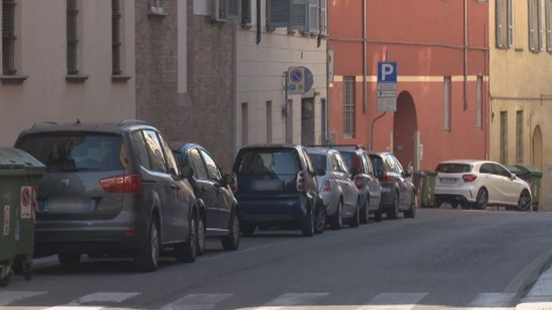 Sospetto Dengue in via Borghetto, esito negativo: revocata la disinfestazione