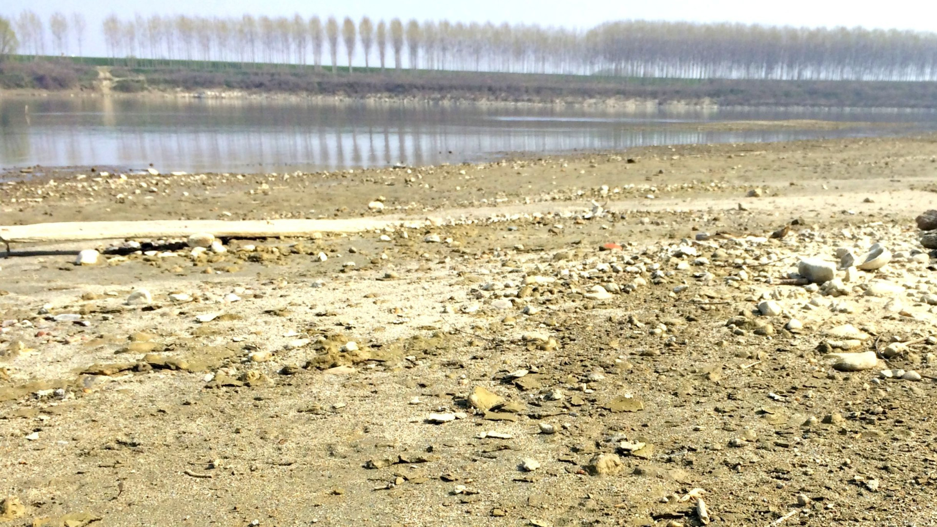 Frammento di cranio ritrovato nel Po, potrebbe risalire al Paleolitico