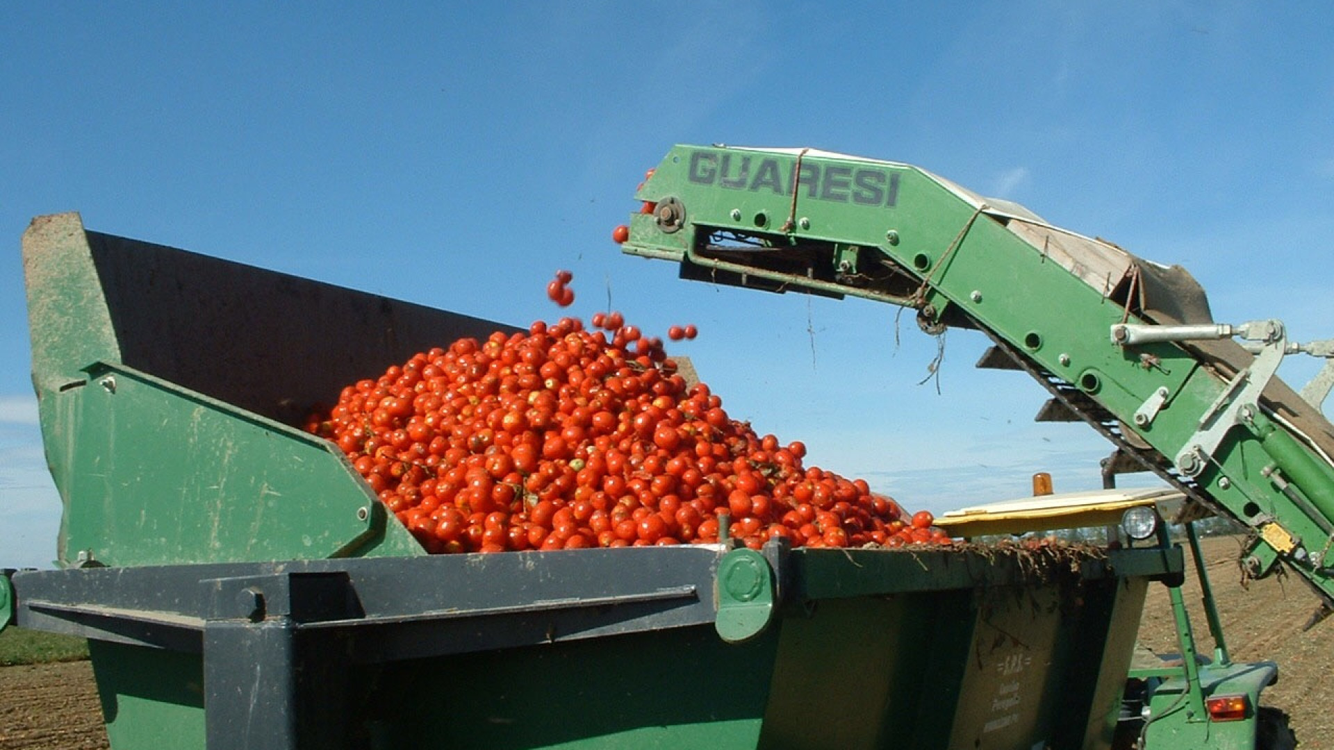 La passata di pomodoro dell'Arp verso la Pomì