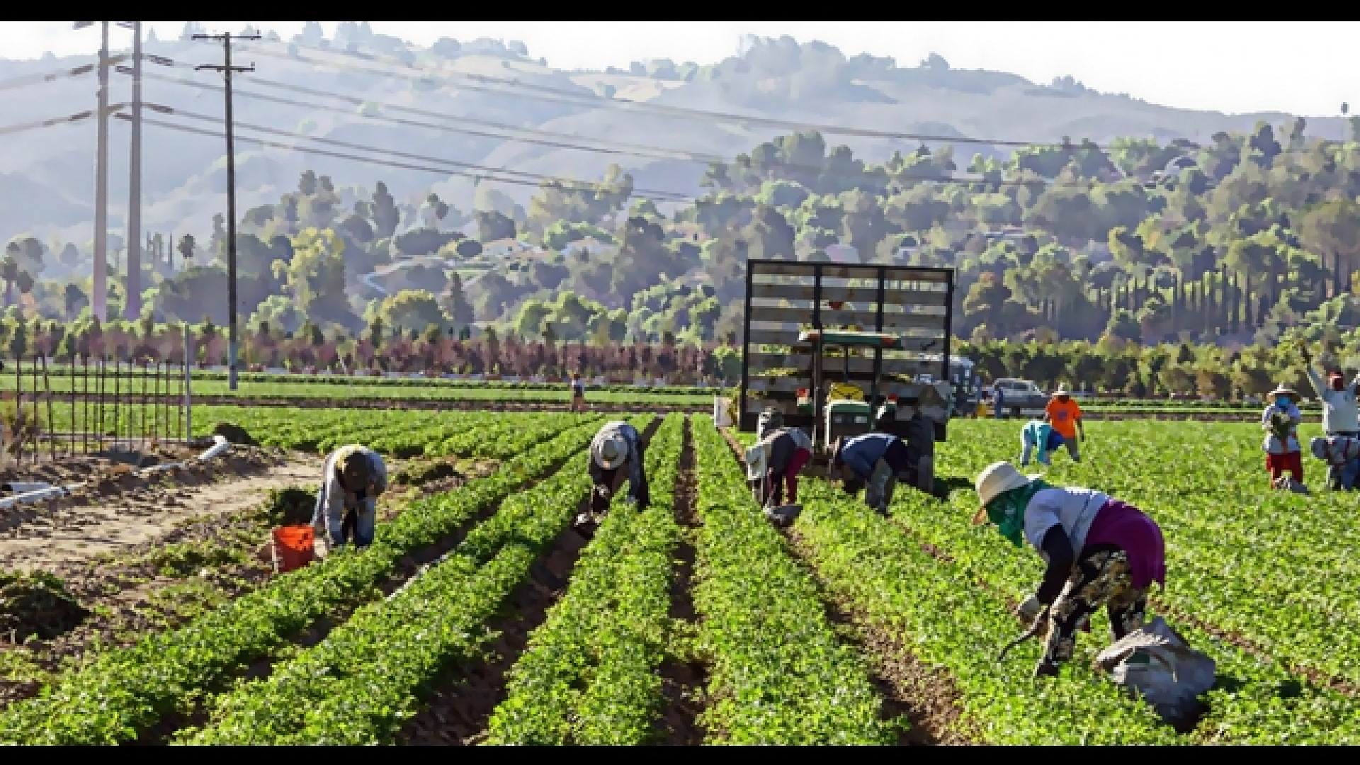 Quarta commissione –“Ascoltati rappresentanti sindacati UGL e UIL per mappare Caporalato in Veneto"