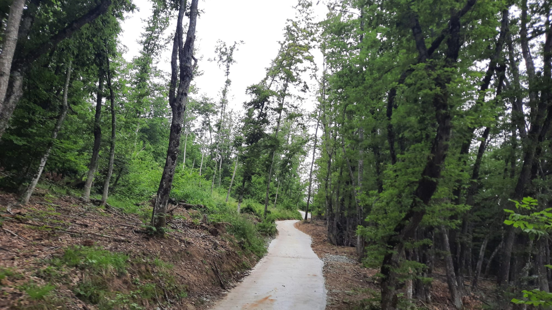 Ponte sul rio Lago Moo chiuso, una mulattiera unica via per le frazioni isolate