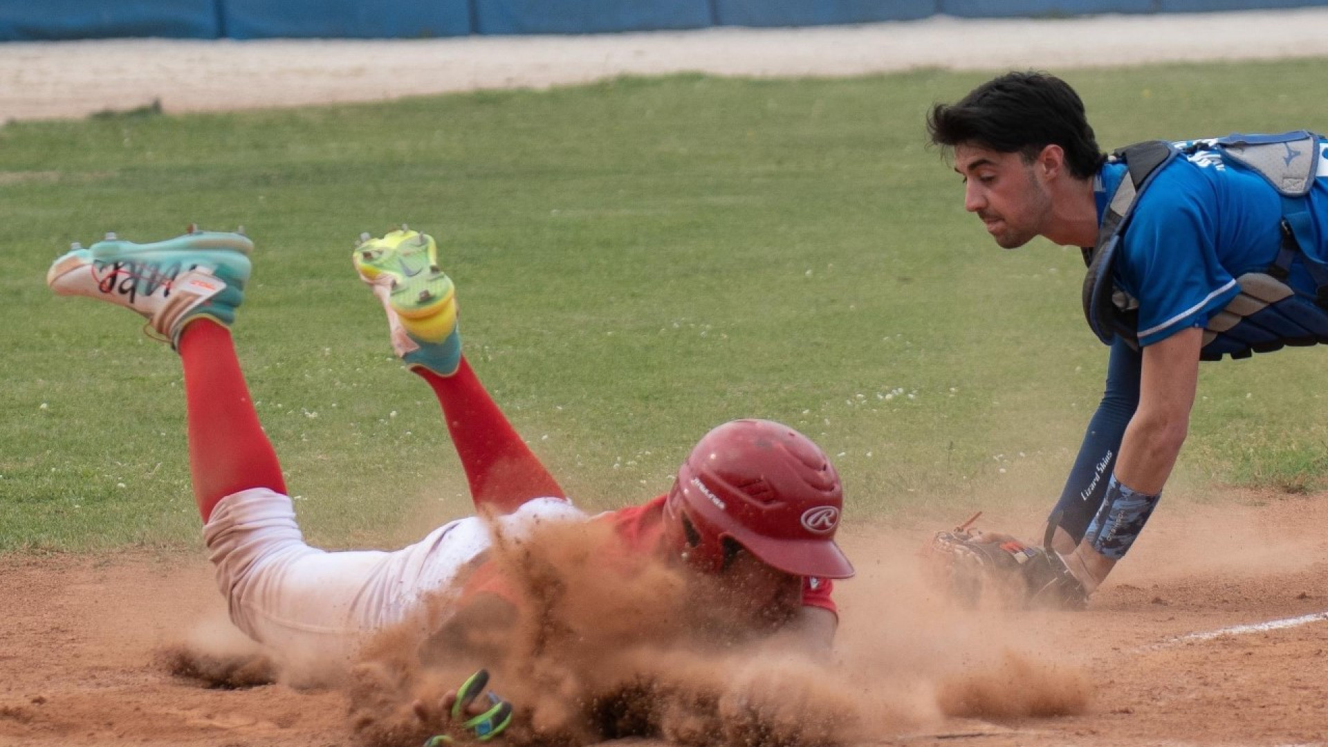 Piacenza Baseball in cerca di riscatto sul terreno amico contro Seveso