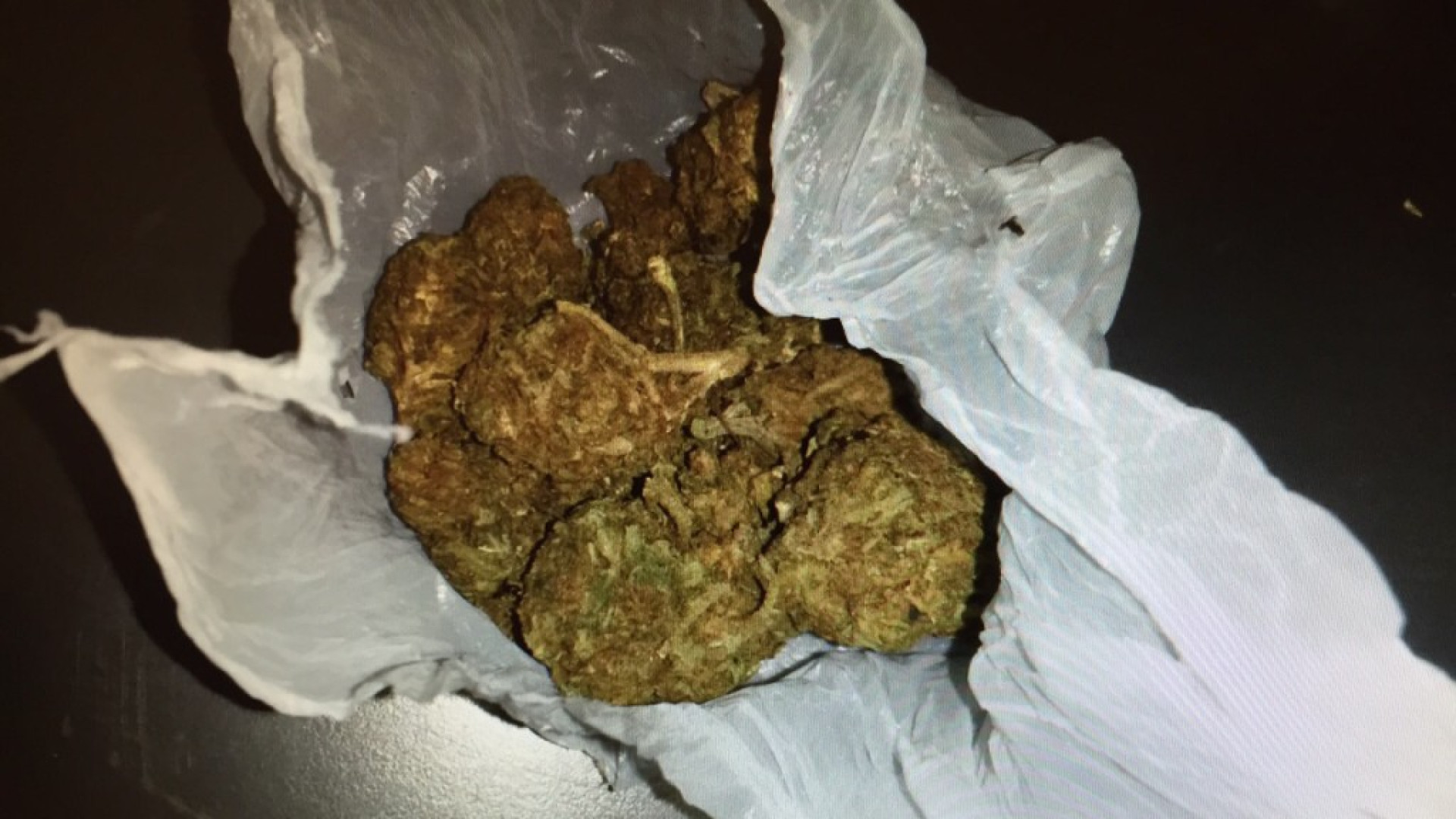 Droga per 5 milioni di euro: 500 chili di marijuana saranno bruciati all'inceneritore