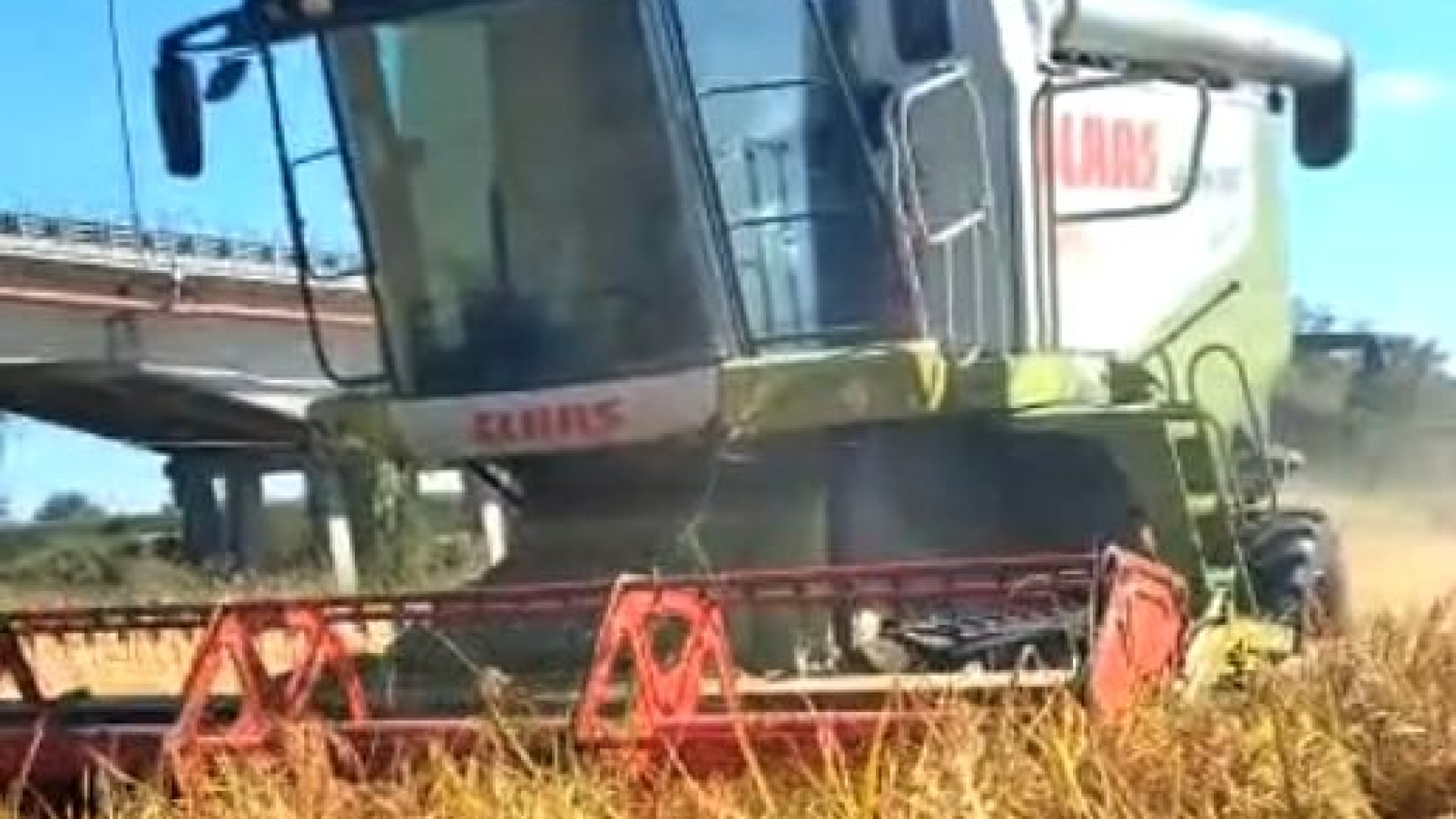 Al via la raccolta del riso, Coldiretti: "Siccità, alti costi e concorrenza low-cost"