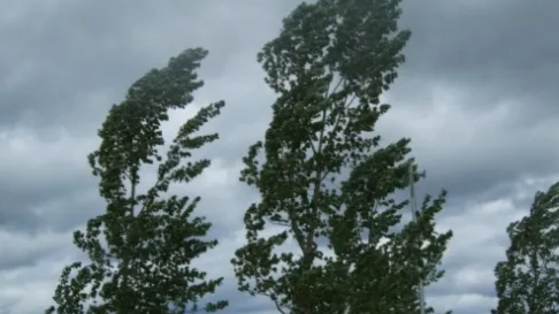 Scatta l'allerta meteo: raffiche di vento nelle zone collinari e montane