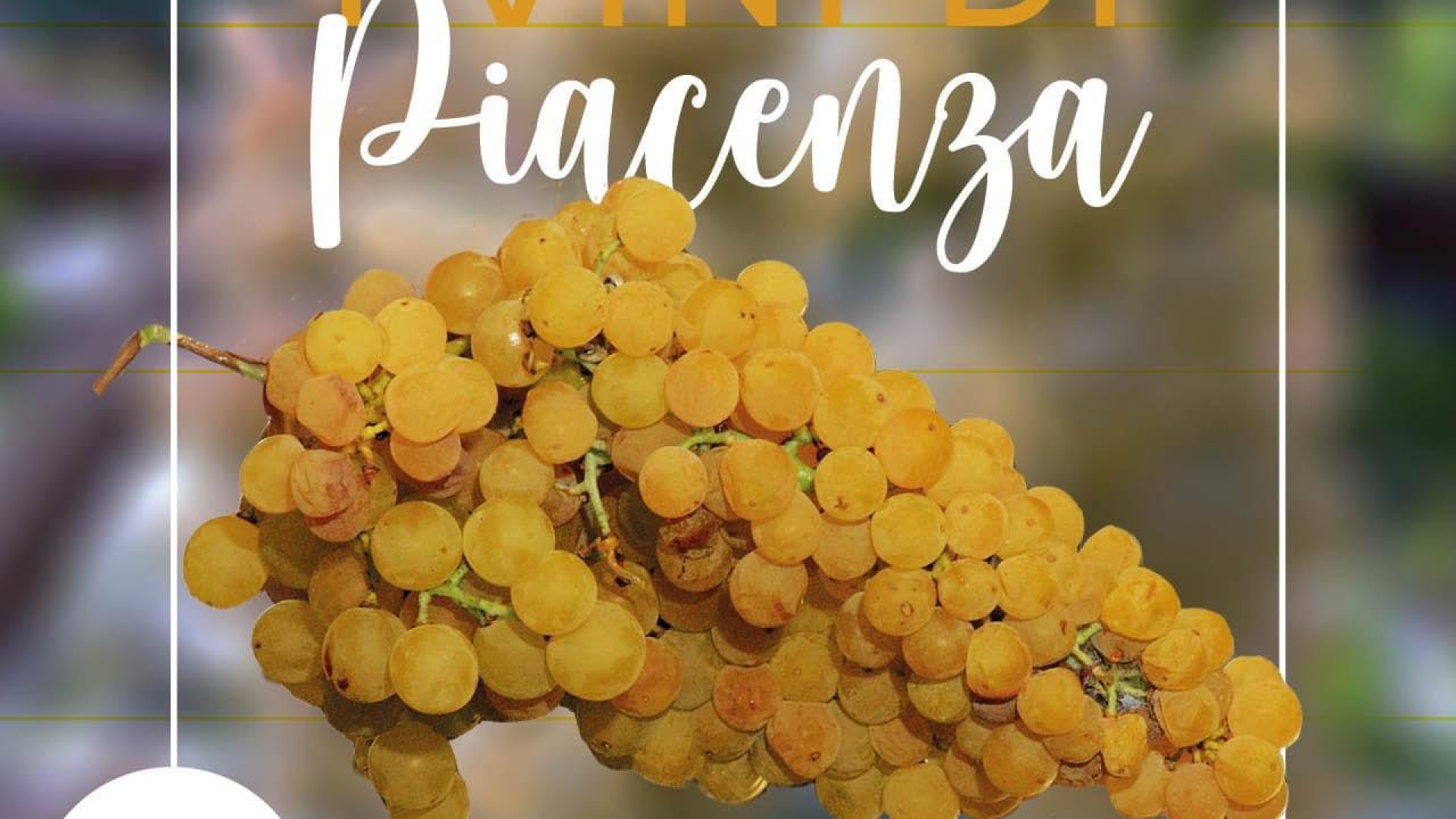 “Giugno, mese della malvasia di Candia aromatica”. Duecento locali in campo
