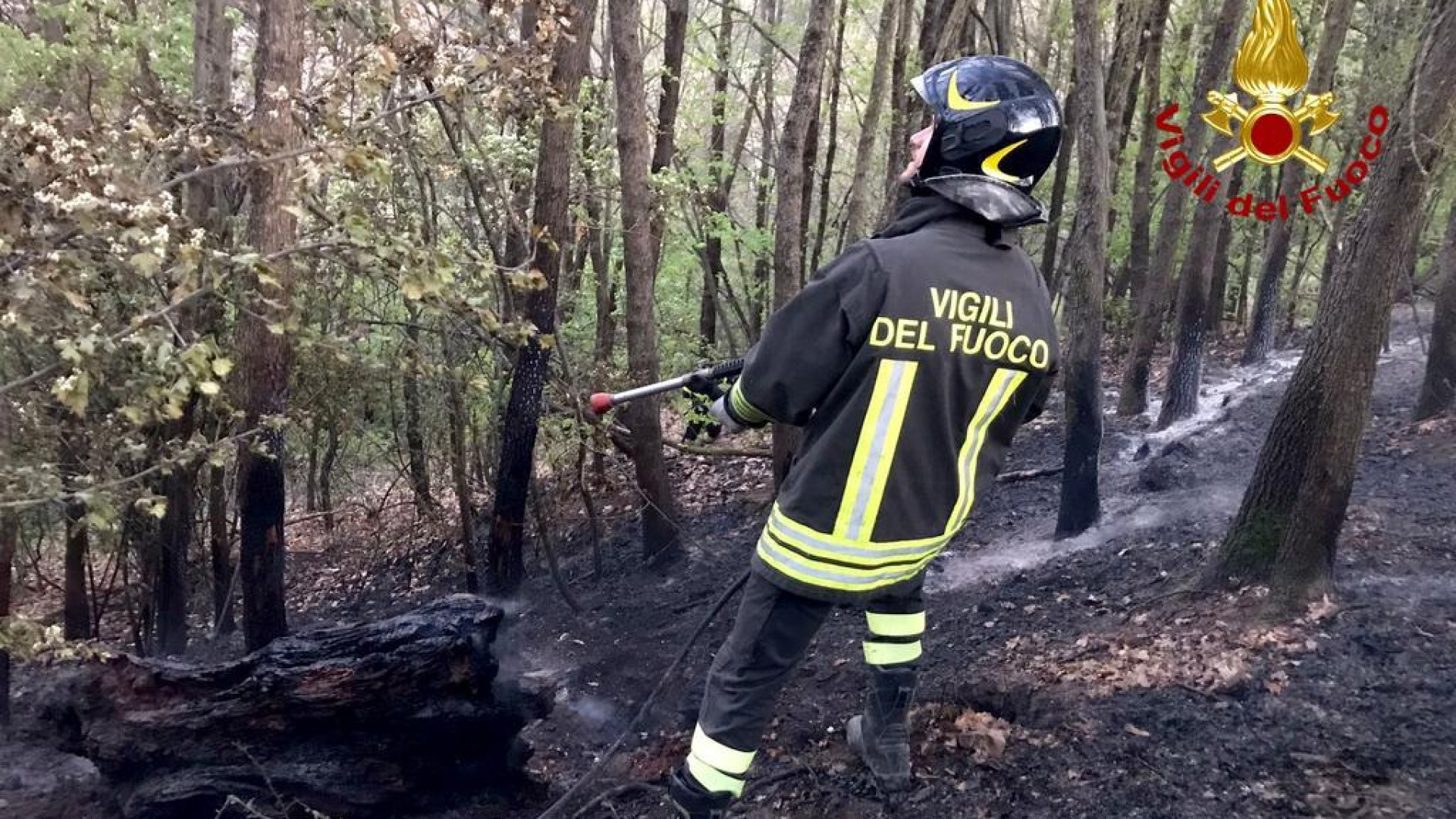 Incendi boschivi: proroga della fase di attenzione fino al 30 settembre