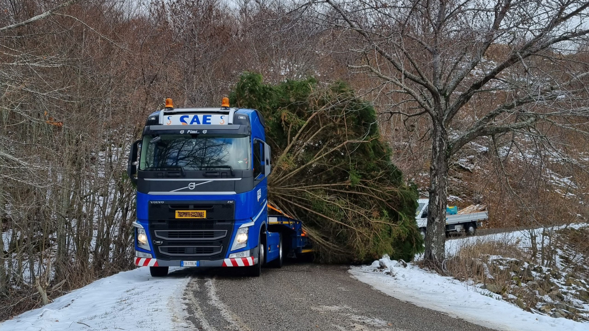 "Domani si accende il Natale in piazza Cavalli". Ma l'albero è bloccato in Val Nure