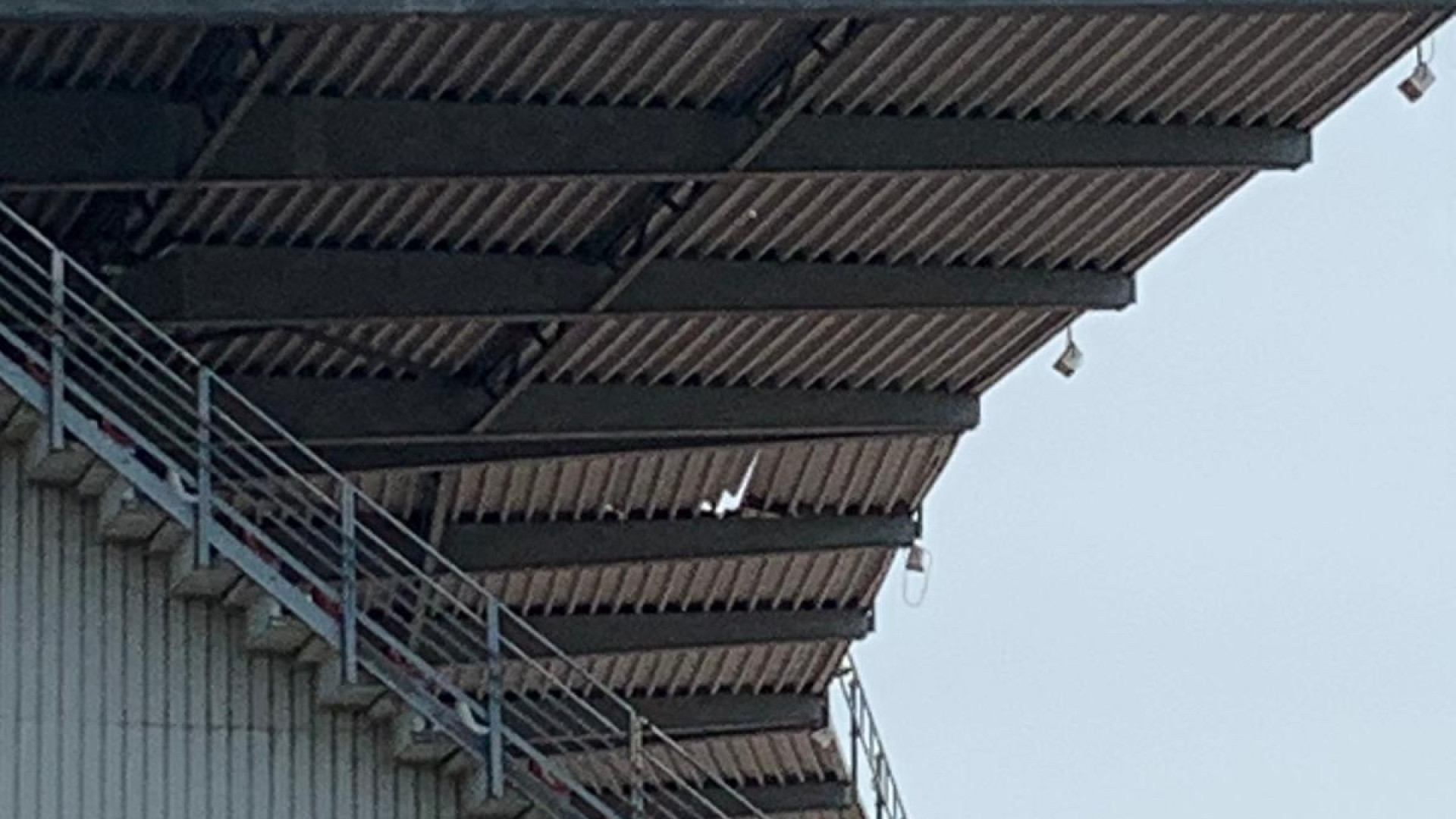 Danno al tetto dello stadio Garilli, Zandonella: "Il Comune intervenga"