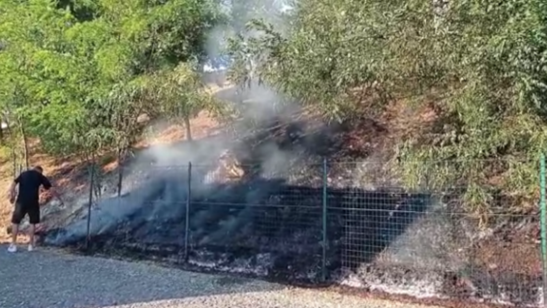 Incendio a Castello: a fuoco un mucchio di sterpaglie. Fiamme spente dai residenti