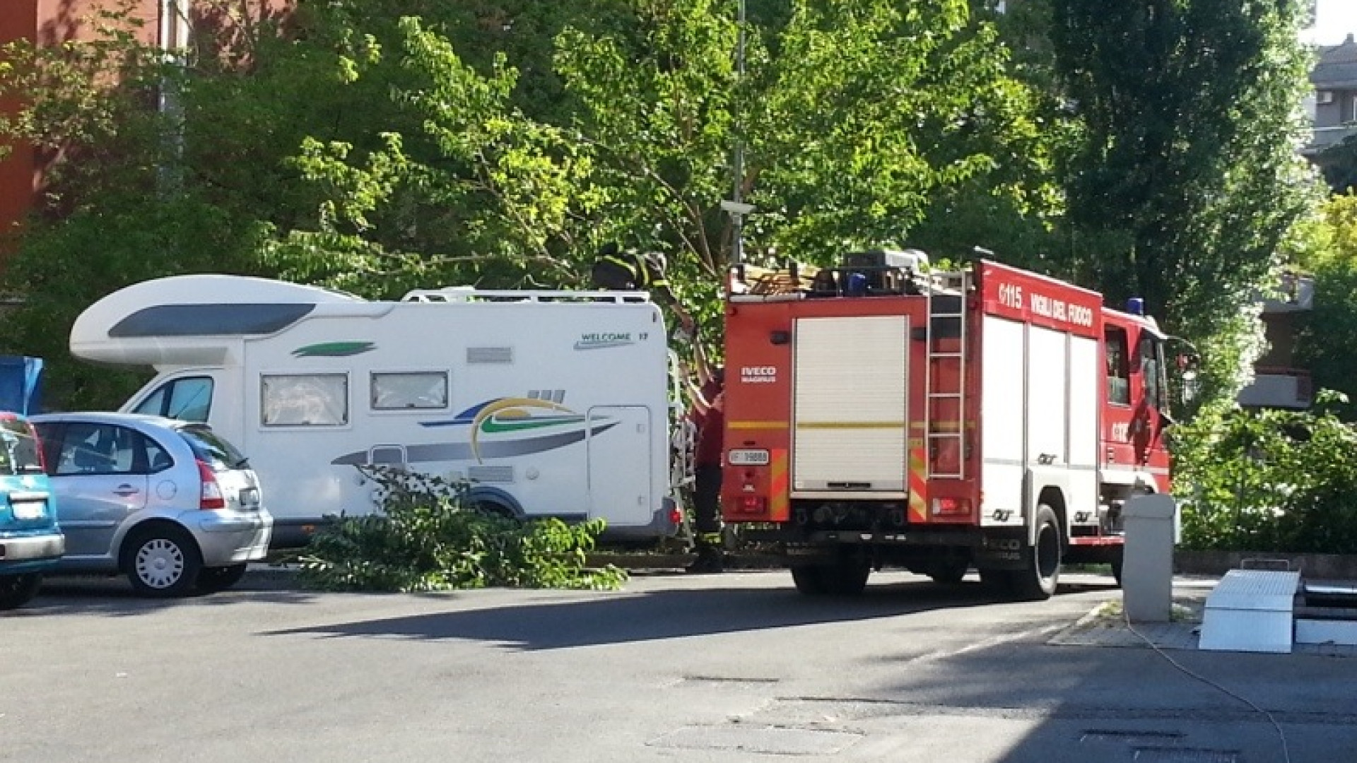 Pompieri al lavoro in largo Erfurt: crolla un albero sopra ad un camper