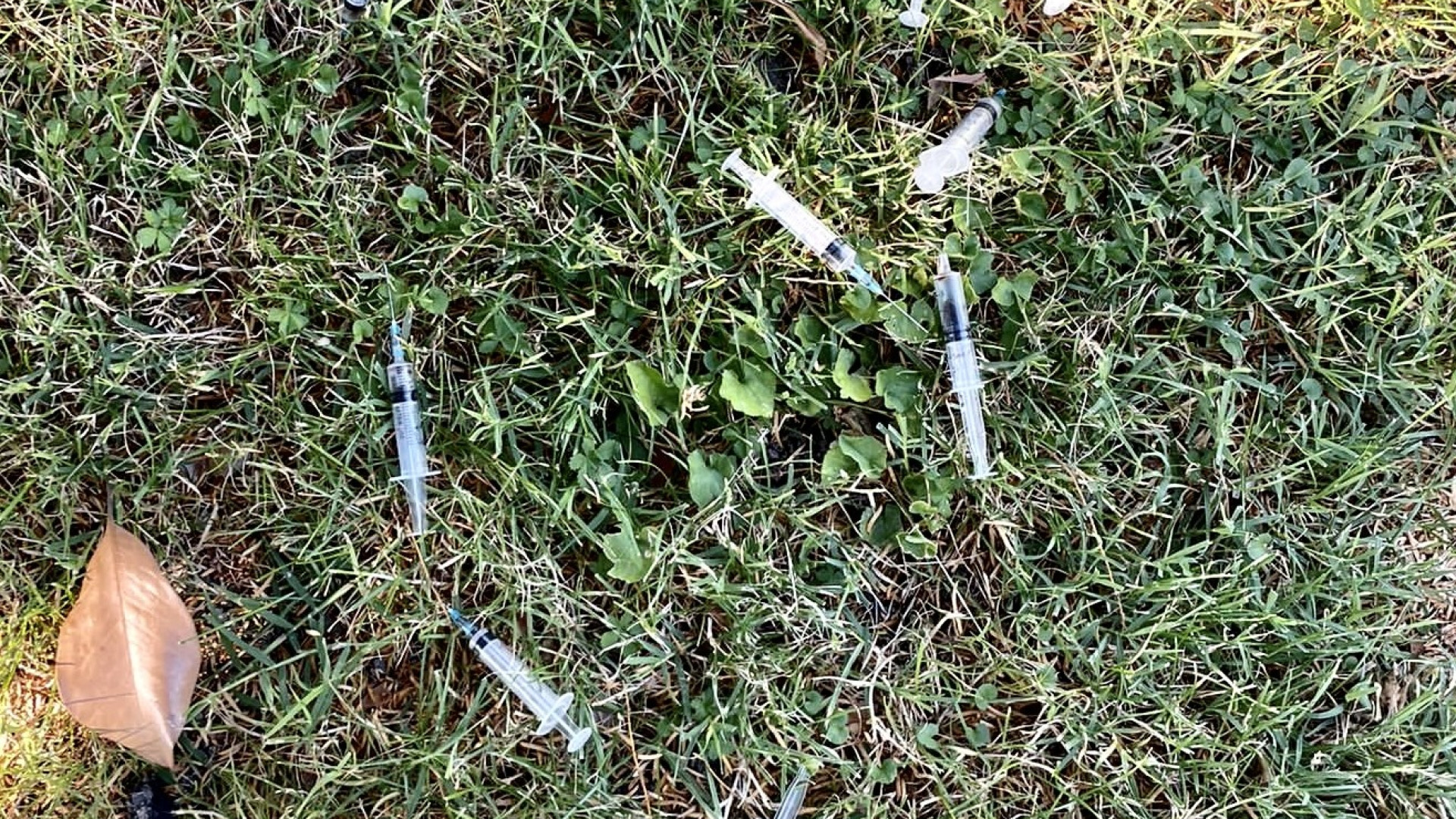 A Monticelli lasciate 85 siringhe davanti al comune. Alcune con un liquido scuro