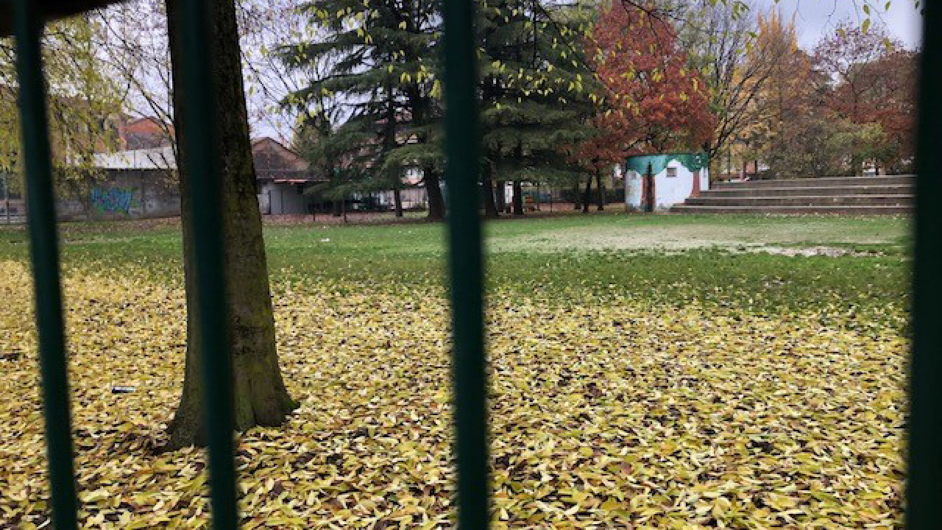"La musica trap? Non so cosa sia. Qui però è uno schifo". Viaggio in via Grandi