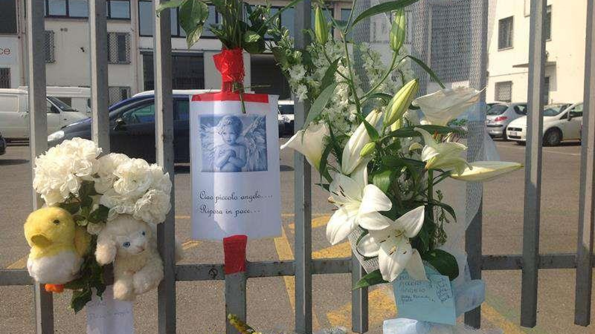 Addio a Luca: "Ciao piccolo angelo, riposa in pace". Nell'abitacolo 60°