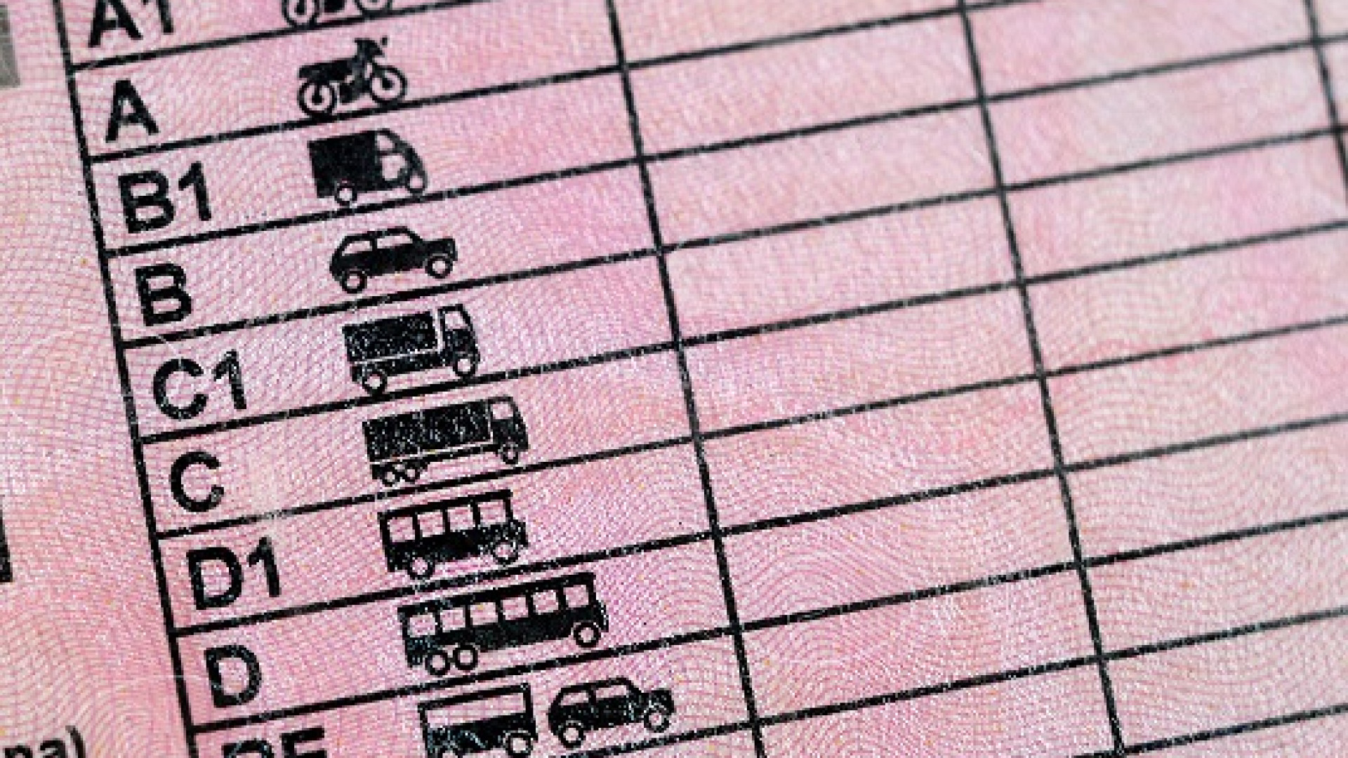 Aumentano i piacentini alla guida: quasi il 75% di loro ha la patente