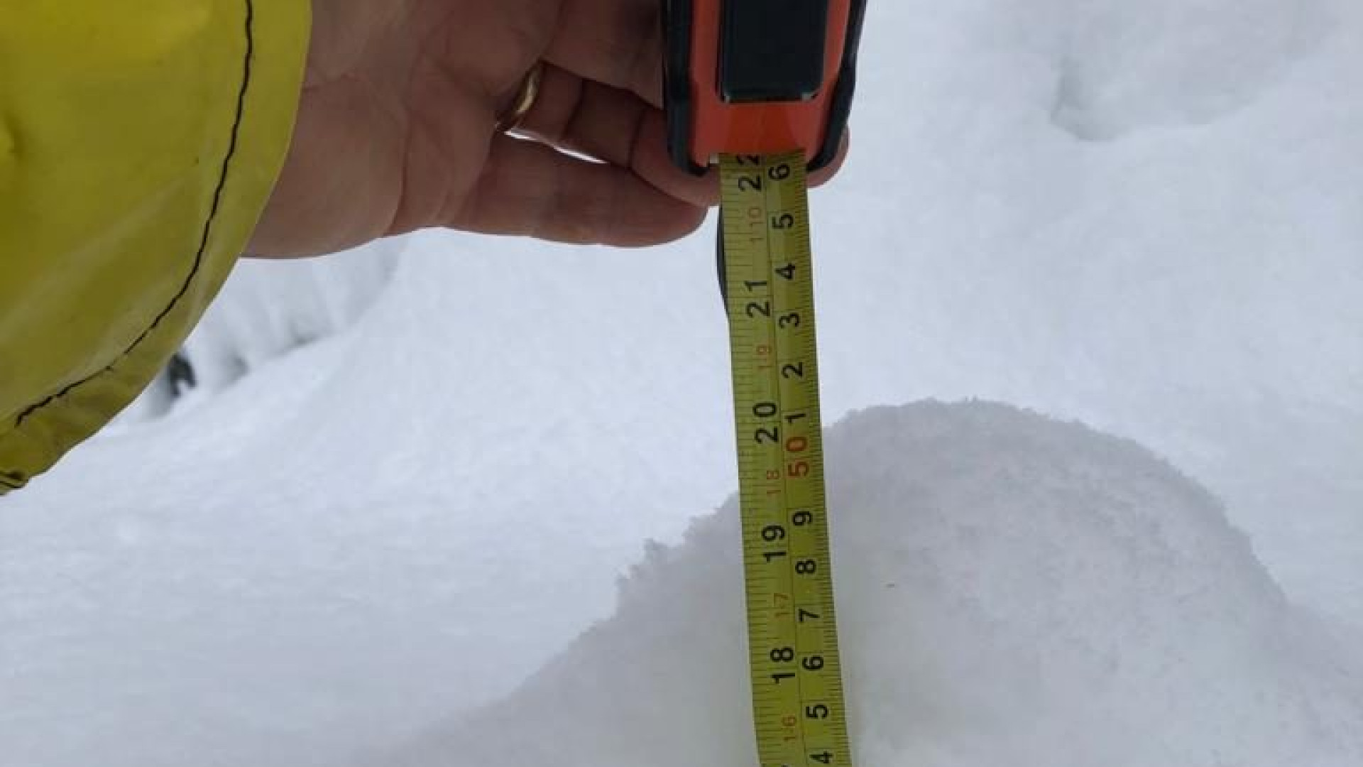 Arpae cerca volontari: "Aiutateci a monitorare le perturbazioni nevose"