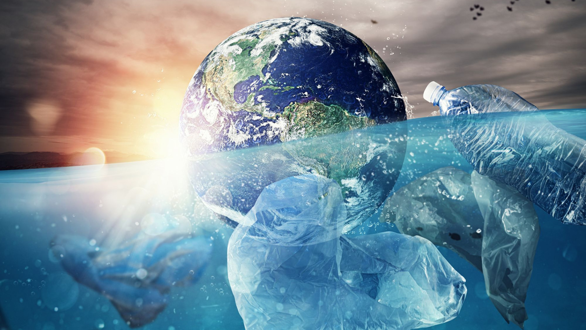 Oggi è la Giornata mondiale dell'Ambiente, ecco le sei mosse per salvarlo