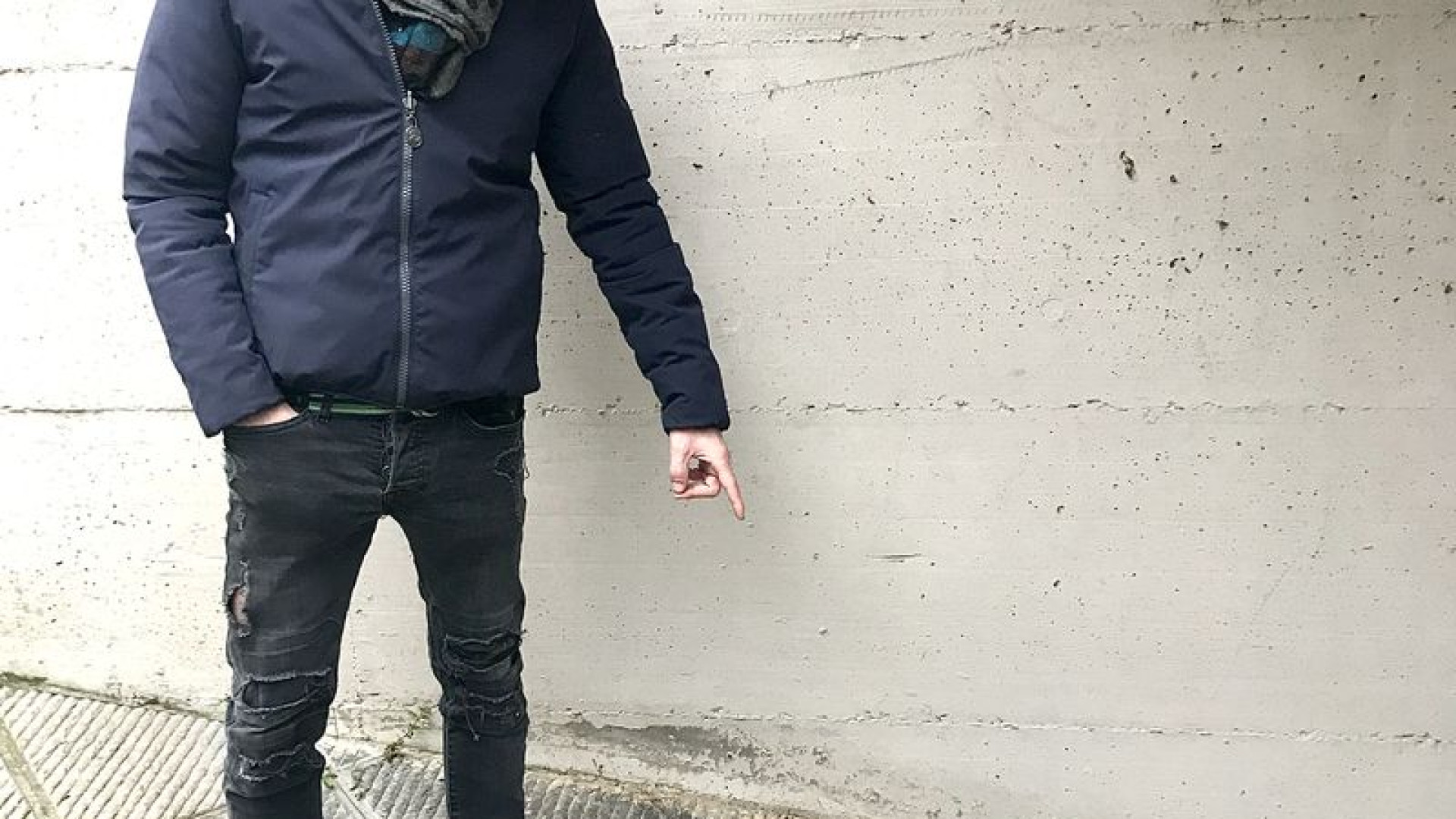 Allarme presenza lupo vicino alle case: residente trova resti "sospetti"