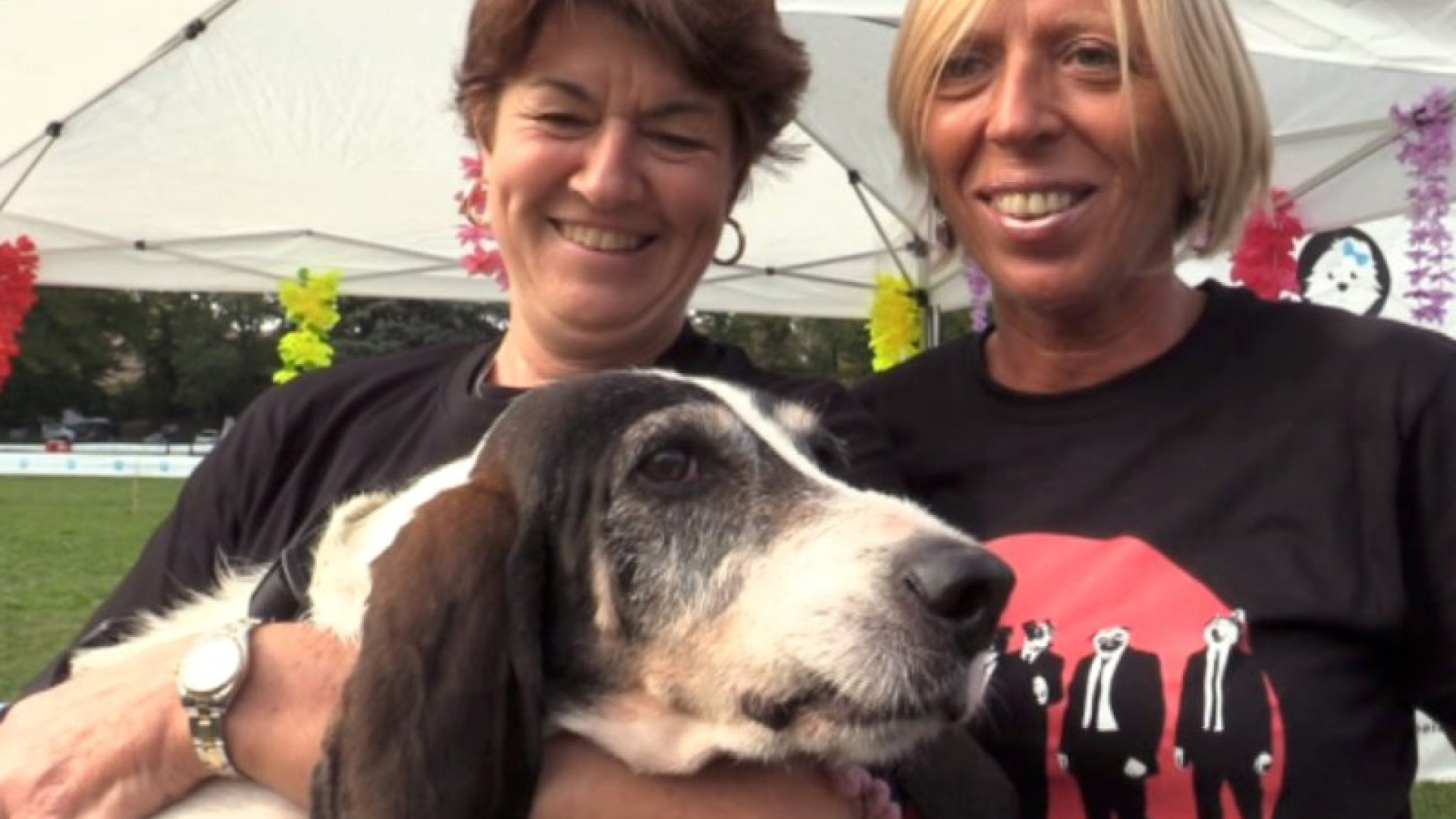 "Yes we dogs", due giorni dedicati ai fedeli amici a quattro zampe