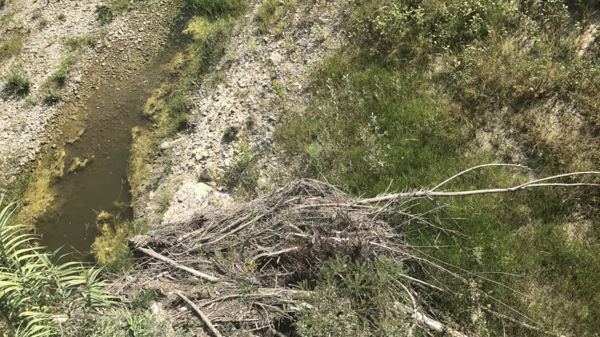 Detriti e un varco sotto al ponte: preoccupazione tra gli abitanti di Roncaglia