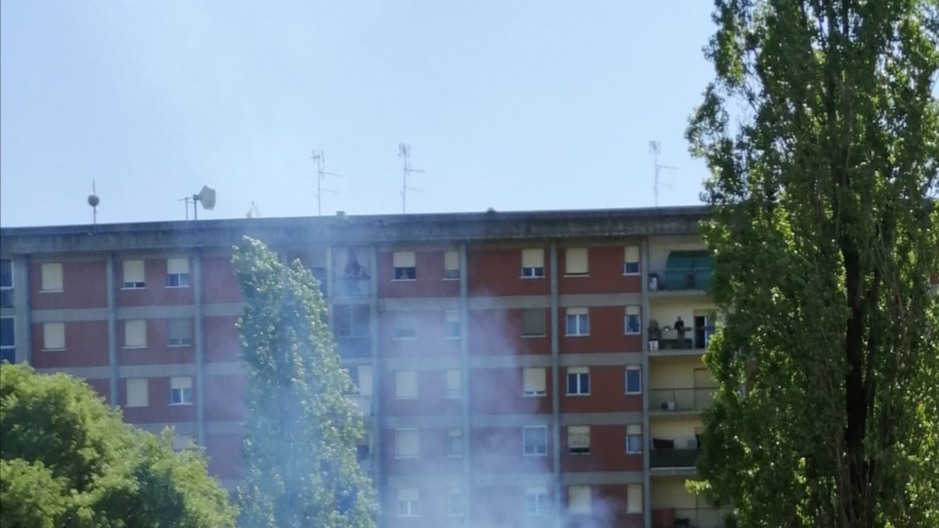 Il "piromane del Peep" appicca le fiamme a un albero, paura tra i residenti