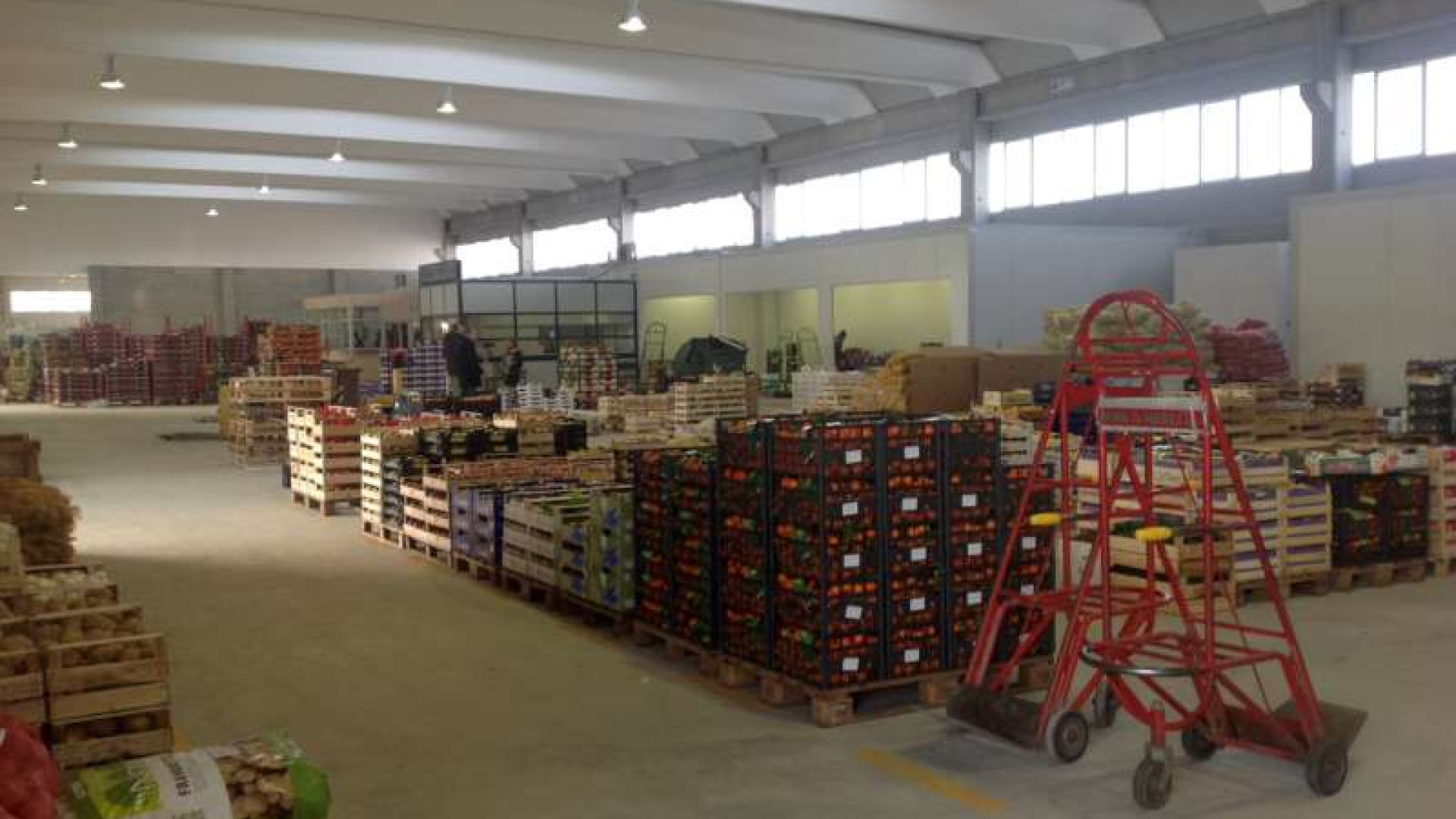 Primo giorno al mercato ortofrutticolo in via Piemonte. Operatori soddisfatti