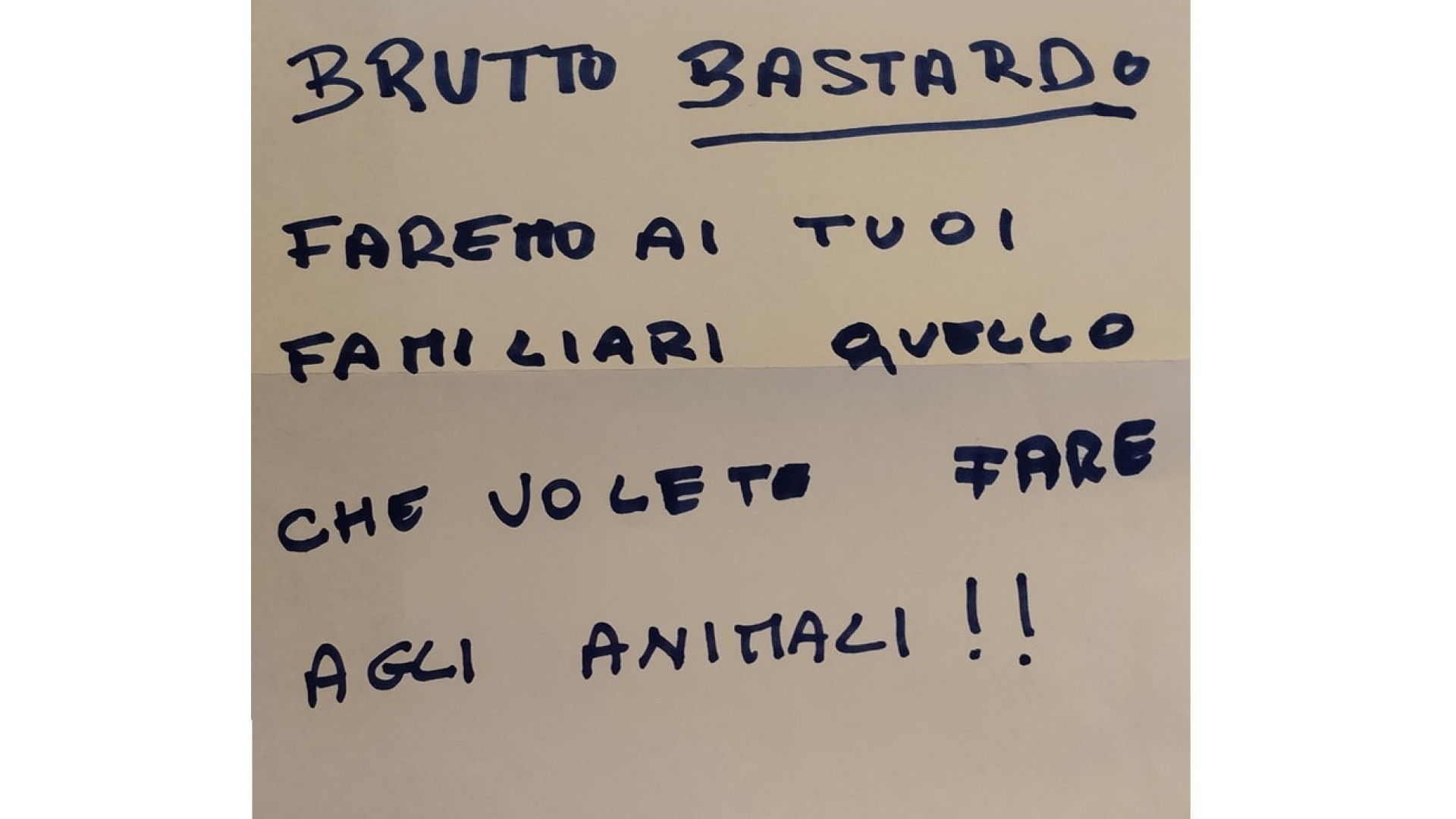Minacce al deputato Foti: "Faremo ai tuoi familiari ciò che volete fare agli animali"