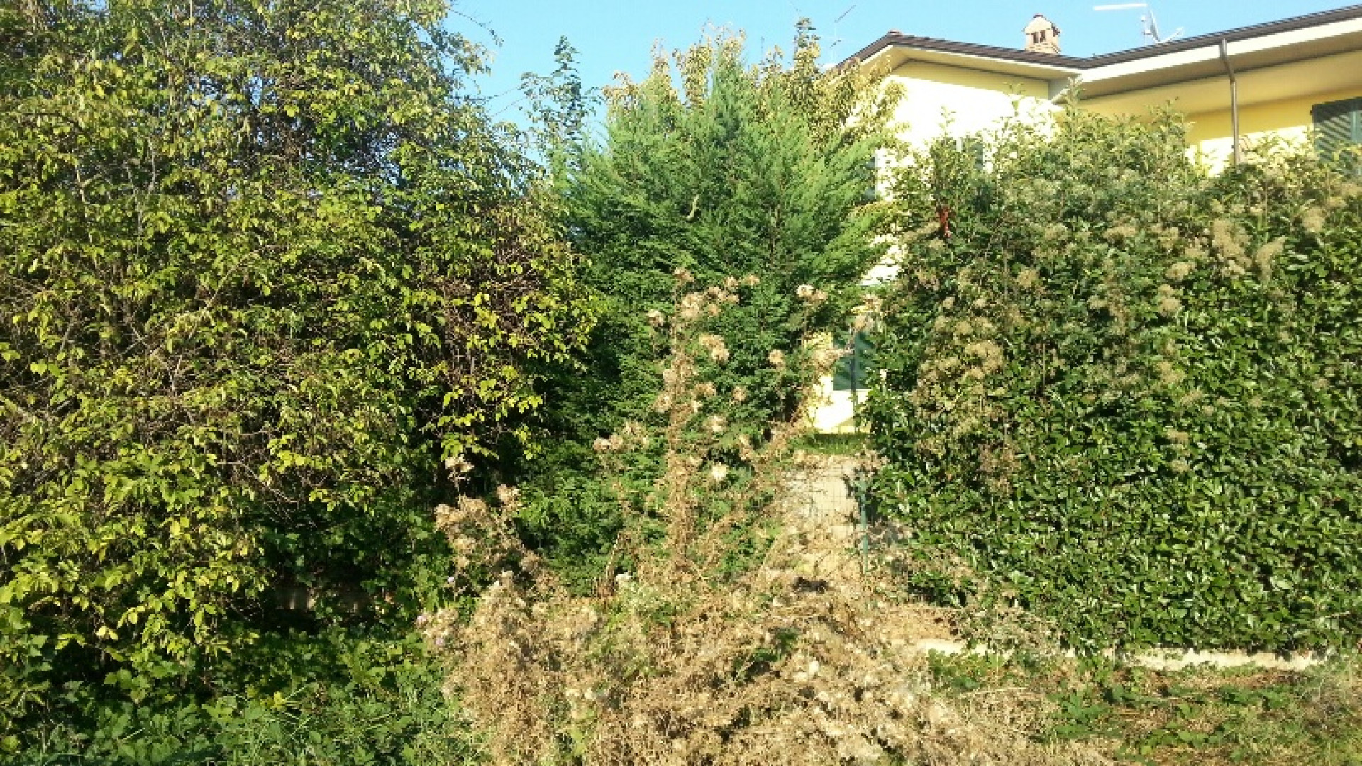 Muore il cane: coppia di Podenzano chiede la bonifica davanti a casa