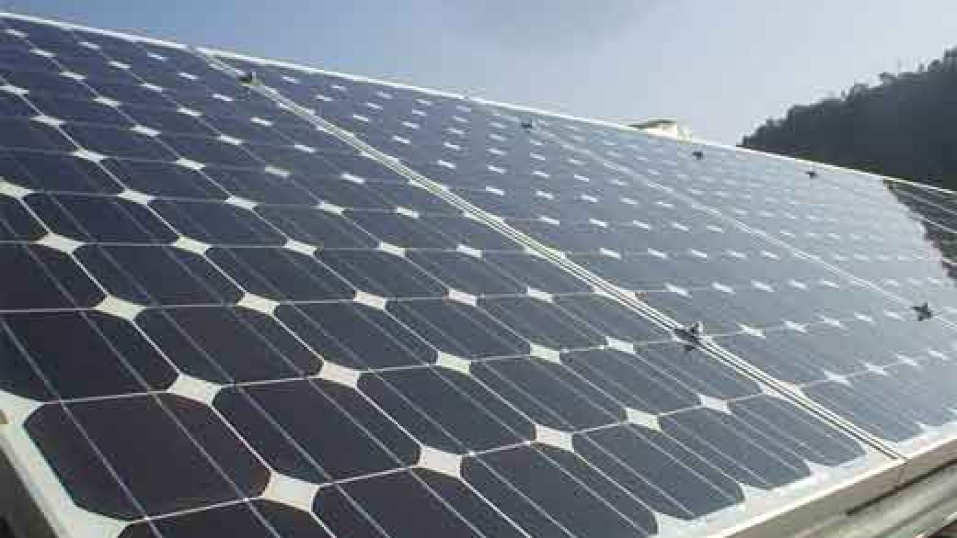 Fotovoltaico, mettere un pannello su tetto o balcone equivale a piantare 10 alberi