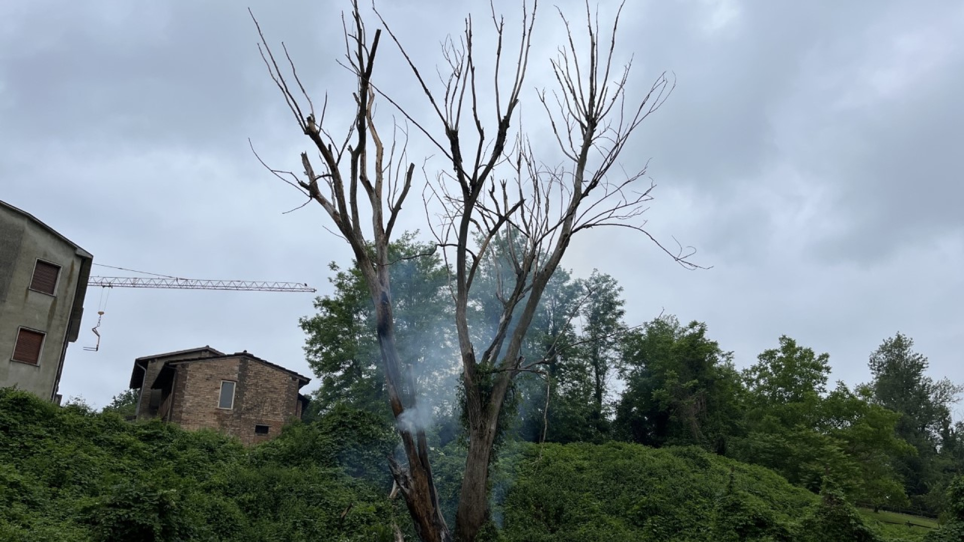 Sariano, fulmine colpisce un albero. I residenti: "Un boato e poi il fuoco"