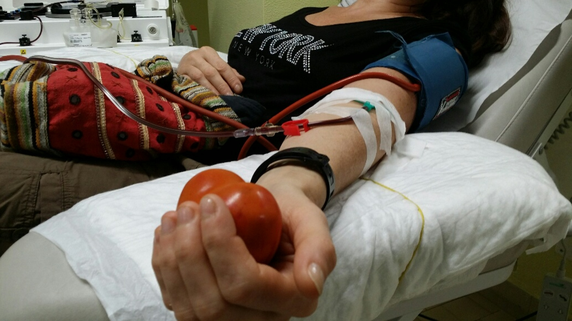 Donazioni di sangue: boom di accessi al Centro trasfusionale di Piacenza