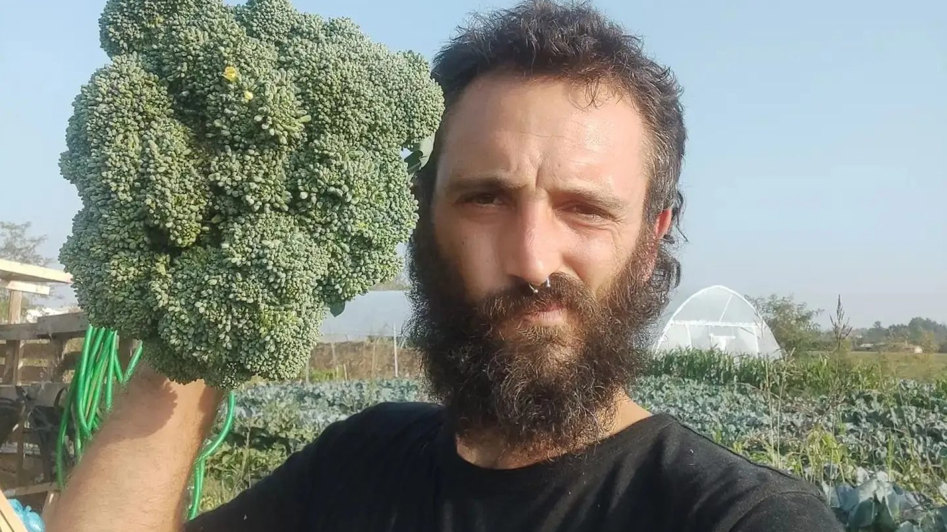 Esplora il mondo e torna a Borgonovo: "Qui nasce il mio progetto di agroforestazione"